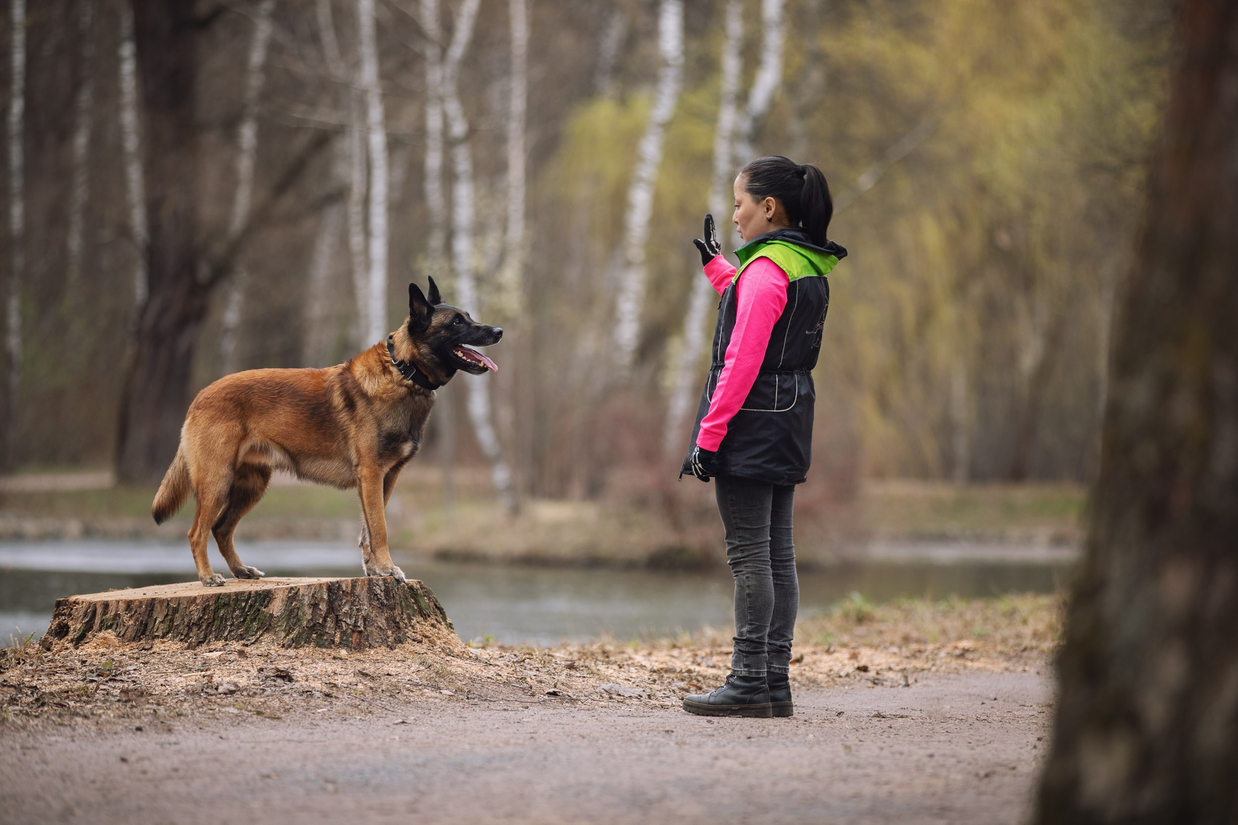 Съемка для рекламы услуг кинолога. Фотограф-анималист в Москве и Московской области Татьяна Фролова