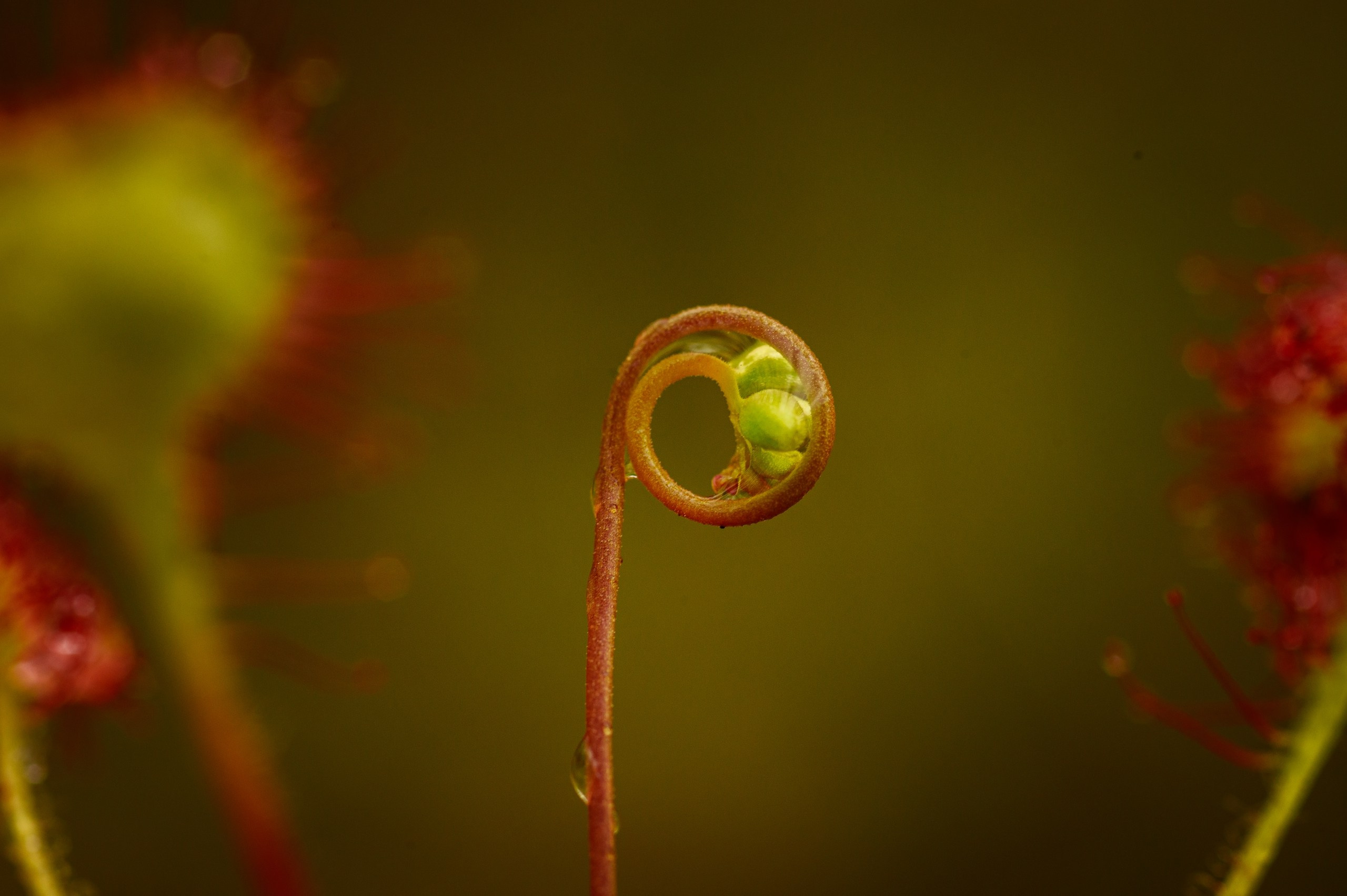 Фотопленэр на болоте. Фотообъединение Самарского областного отделения Союза журналистов России