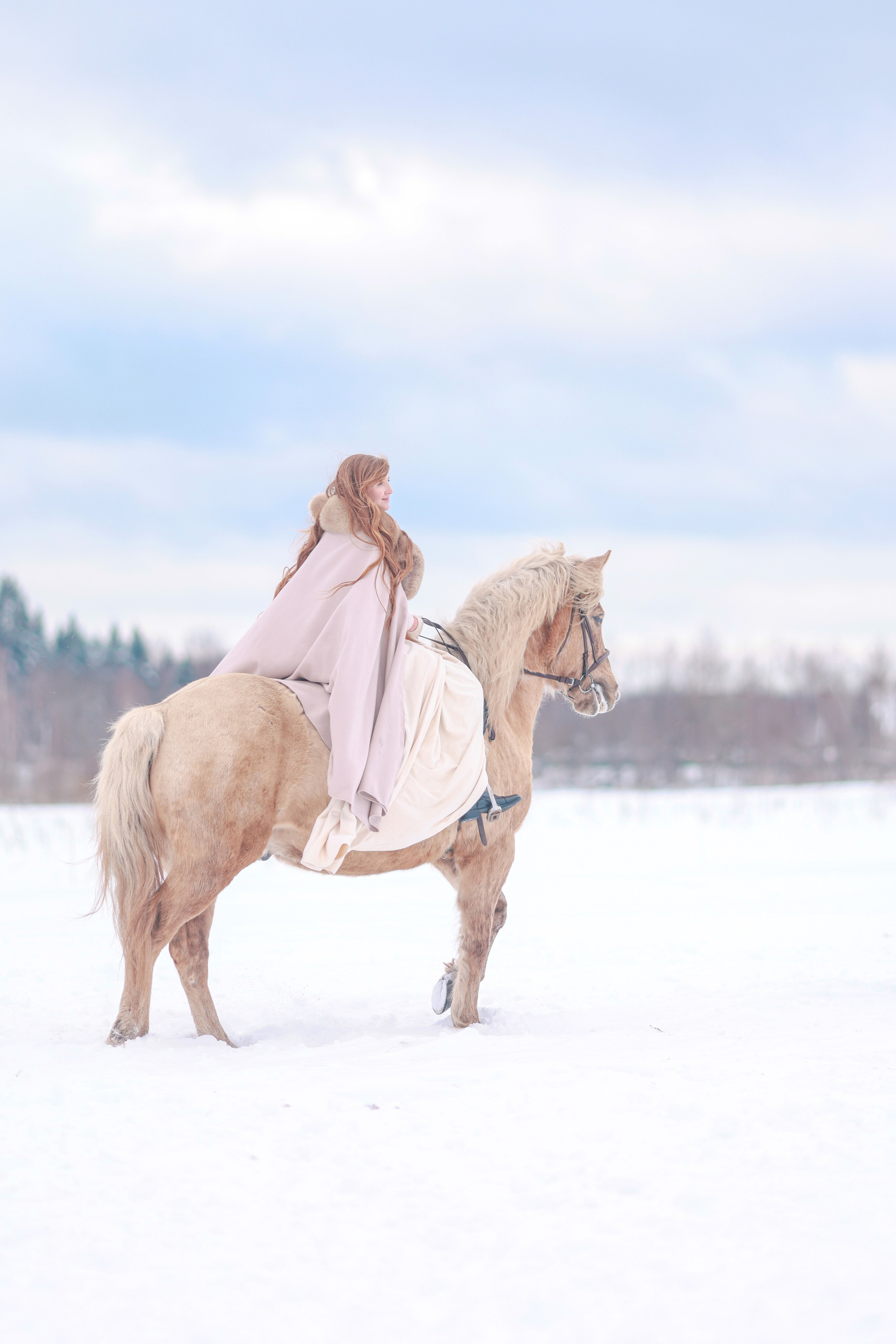 Фотосессии с лошадьми