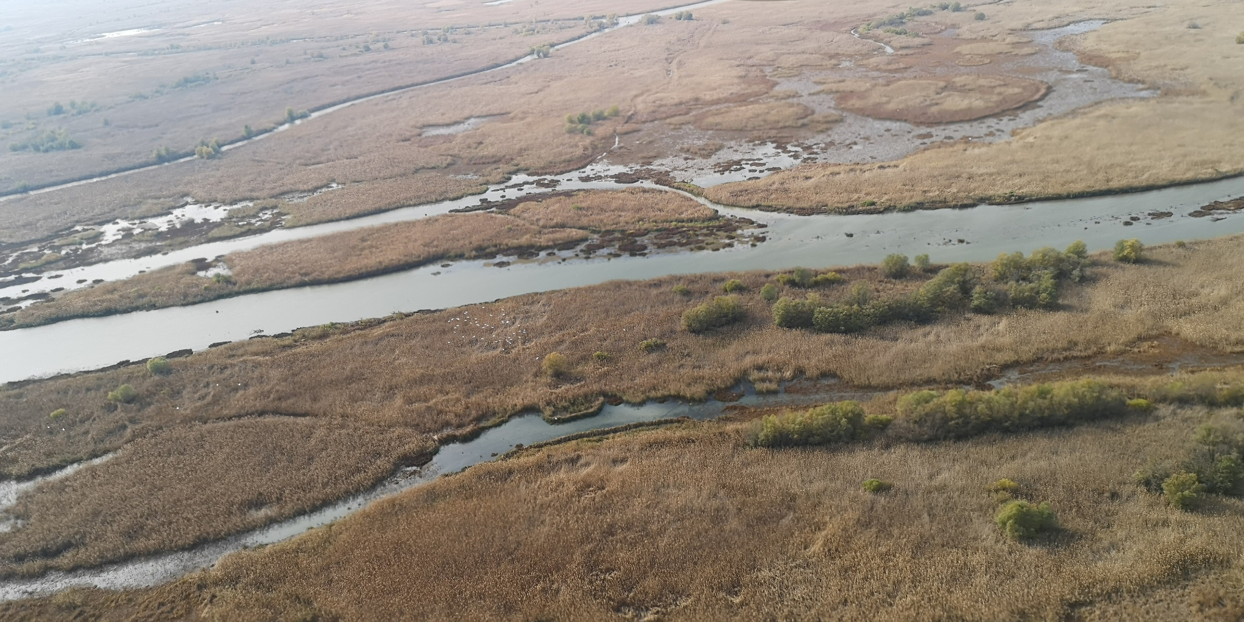 Каспийское море (наука на Ла-8) (2021 г.). Фотоальбом показывающий увлекательный мир авиации и мир медведей Андрея Иванова