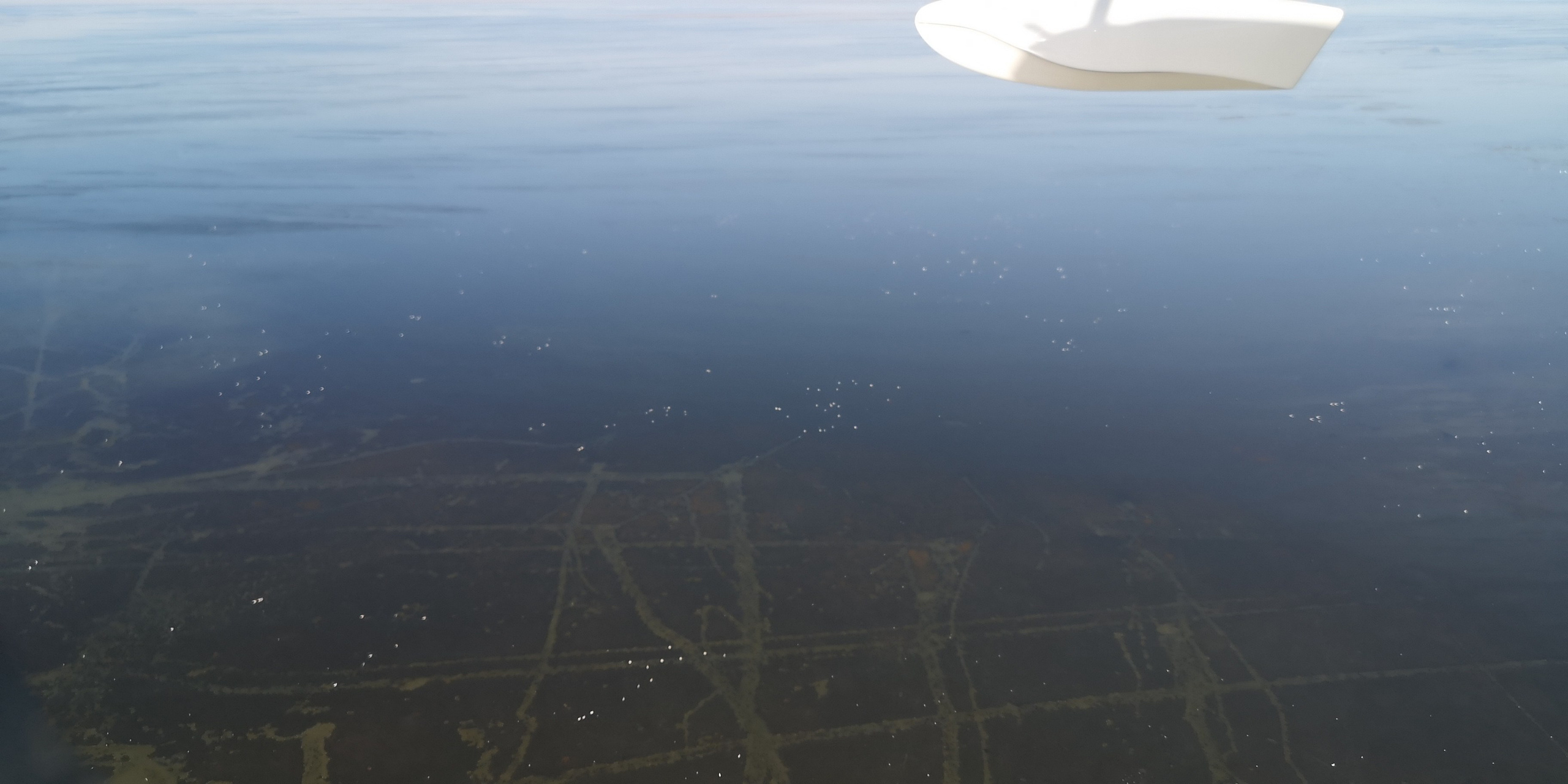 Каспийское море (наука на Ла-8) (2021 г.). Фотоальбом показывающий увлекательный мир авиации и мир медведей Андрея Иванова