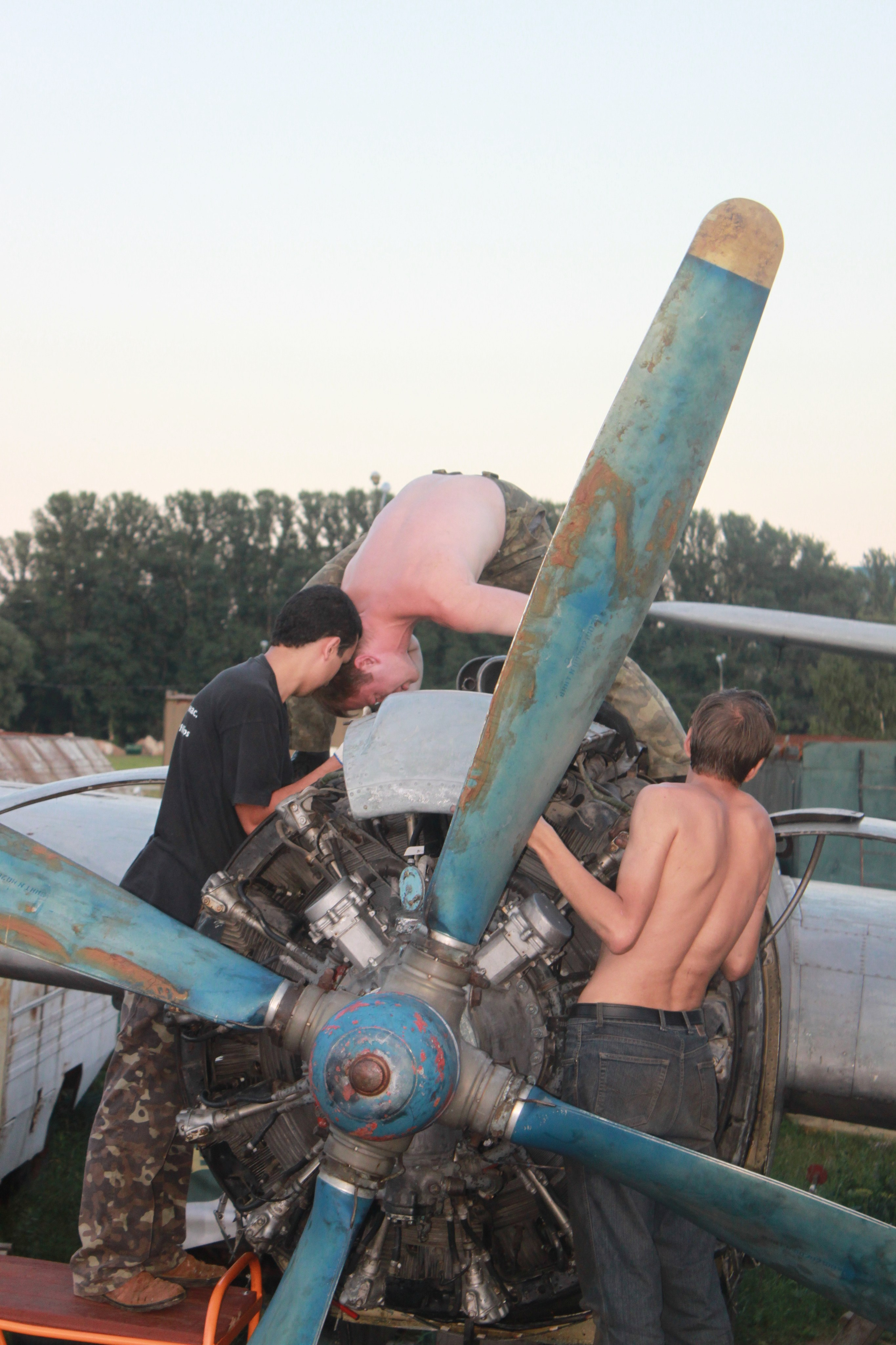 Ил-14Т «Голубая Мечта» работы в Тушино (2011 г.). Фотоальбом показывающий увлекательный мир авиации и мир медведей Андрея Иванова