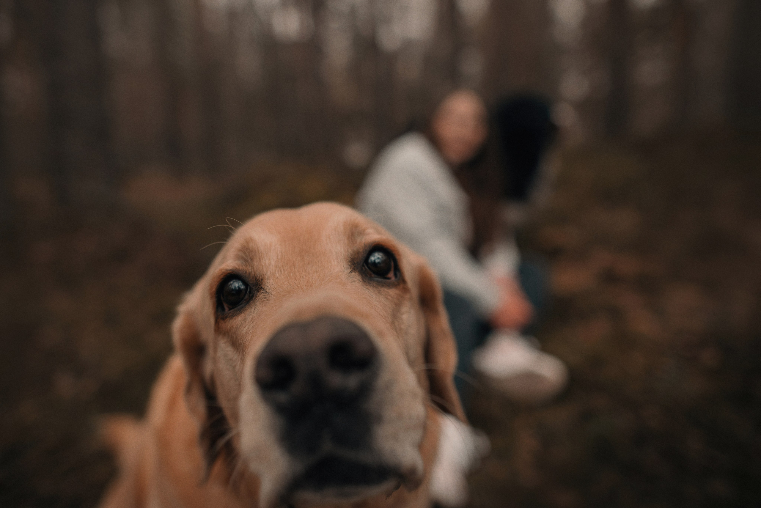 Прогулка: берн Пума, Фрэнк и Юля в Питере. Портфолио