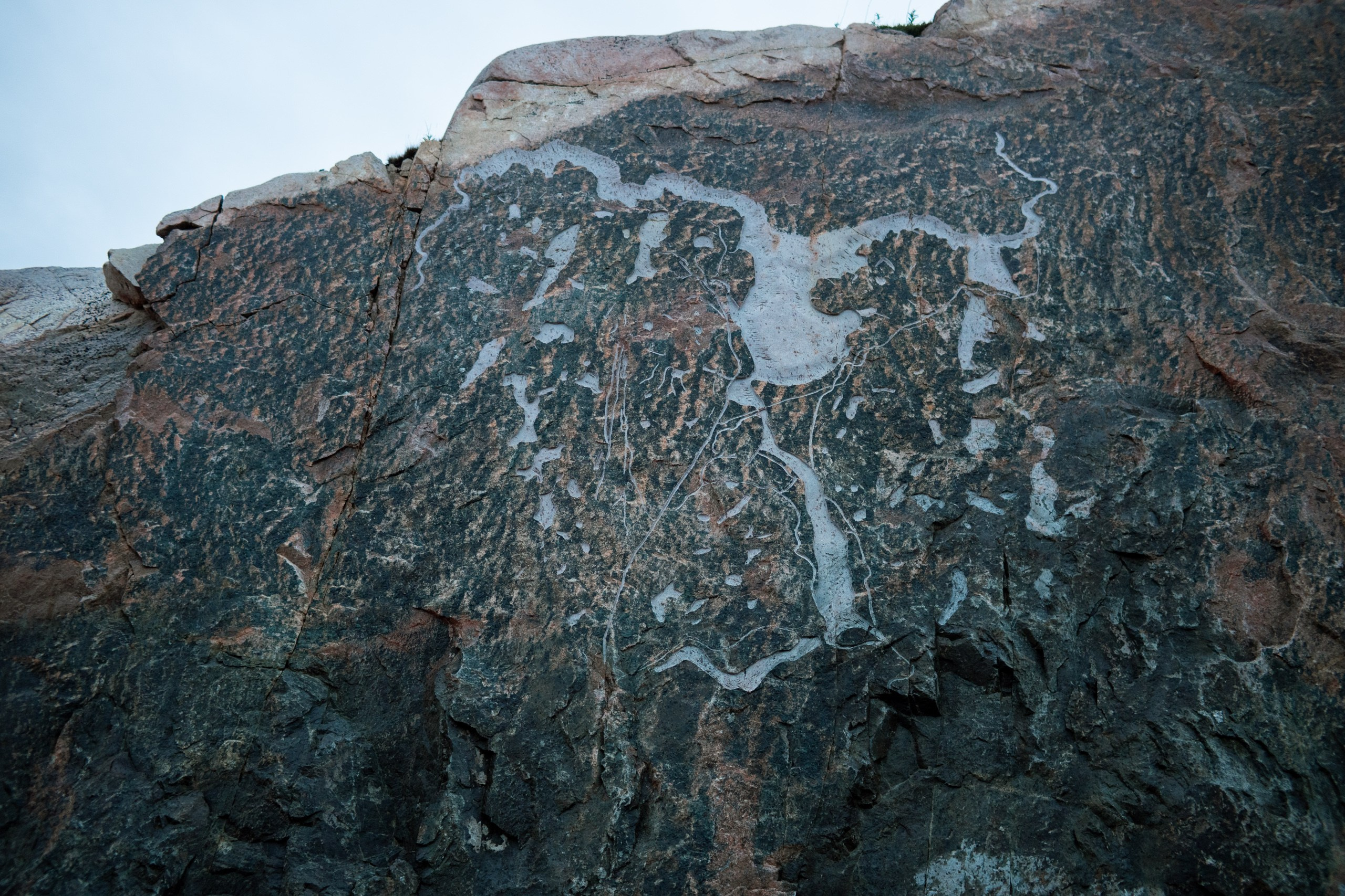 Мурманск. Фотограф Сергей Красильников
