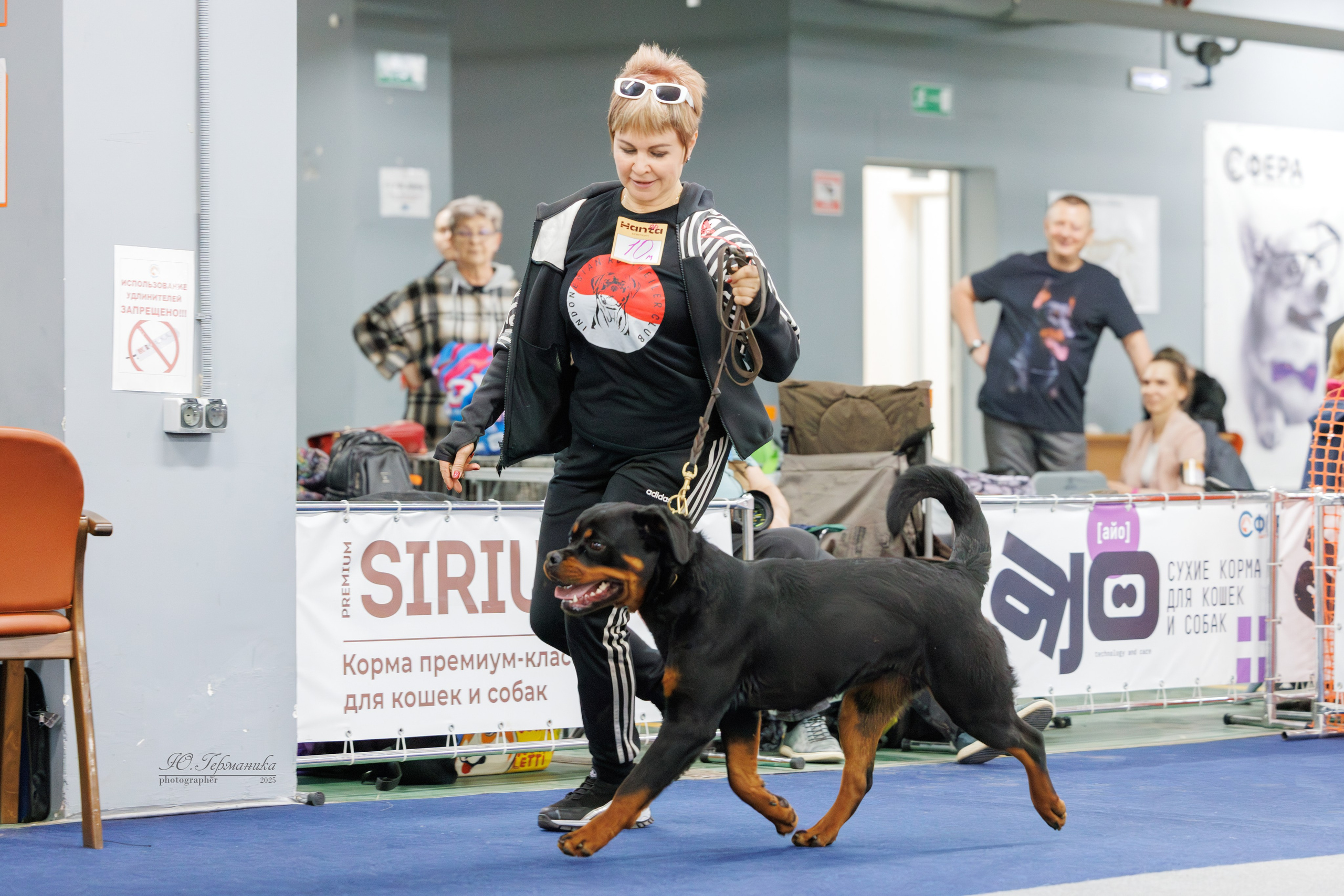 Сфера и Крокус 8,9,16 и 30.03.2025. Фотограф-анималист Юлия Германика