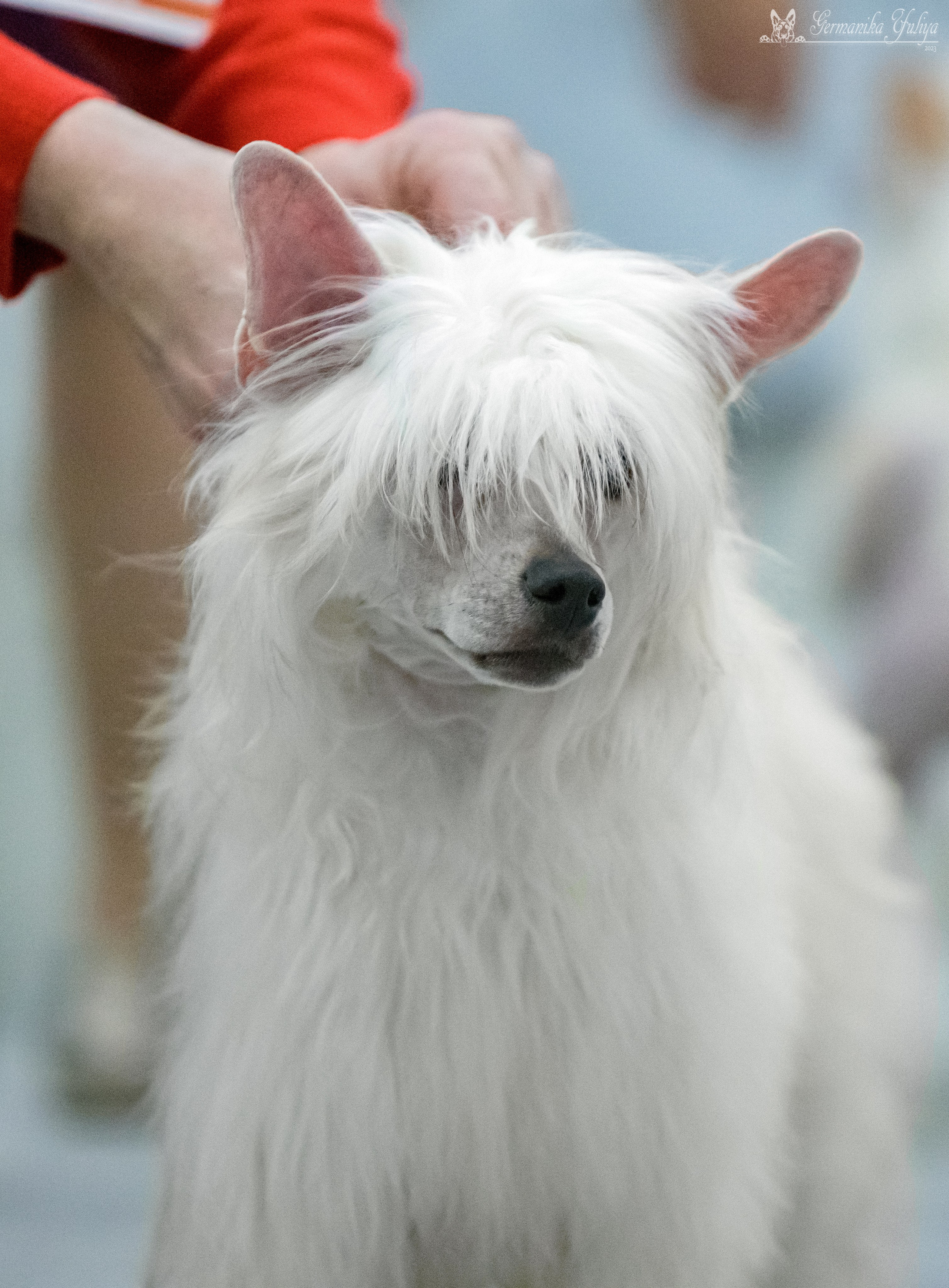 ЕВРАЗИЯ 18-19.11.2023. Фотограф-анималист Юлия Германика