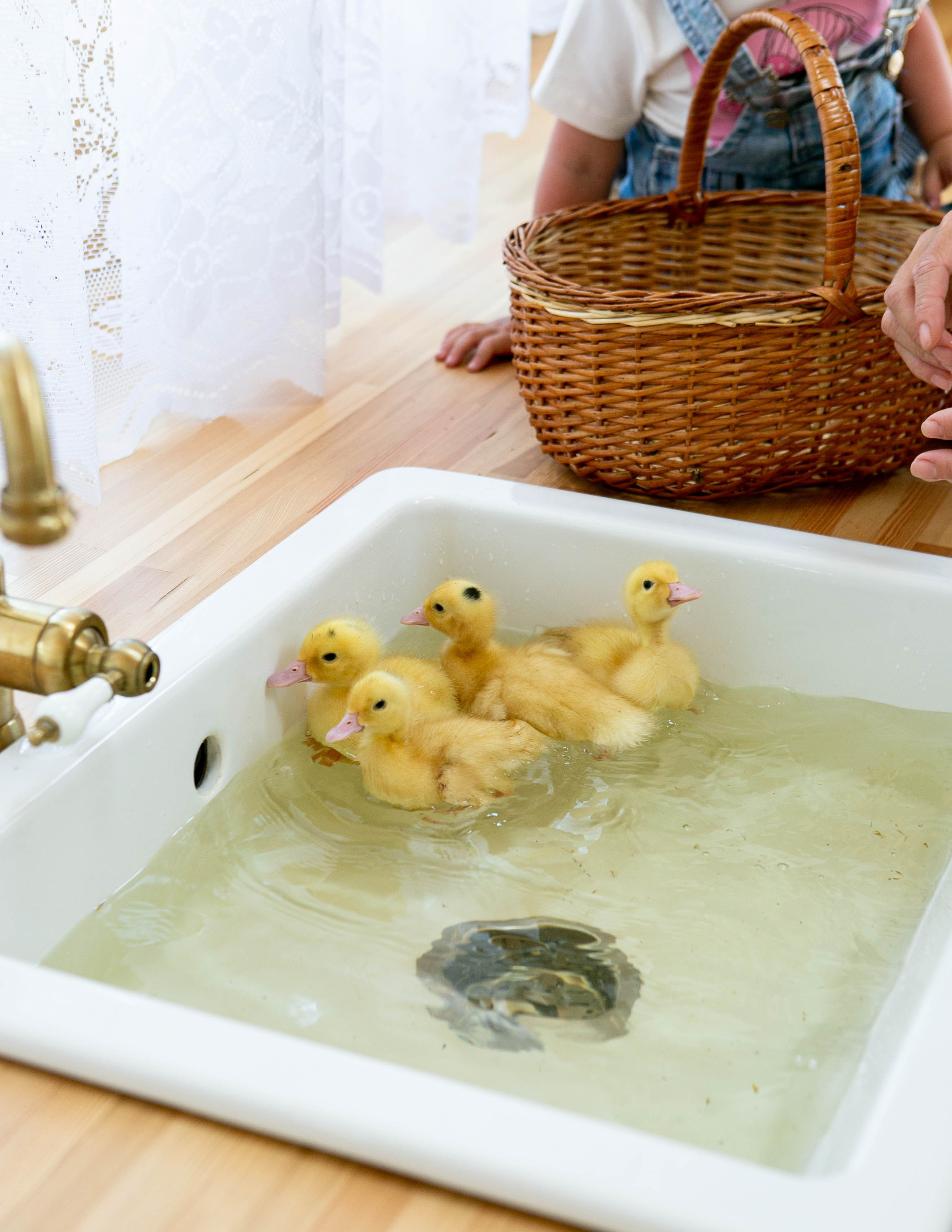 Ю и М. Семейный и детский фотограф в СПБ, Пушкин, Колпино, Славянка, Тосно