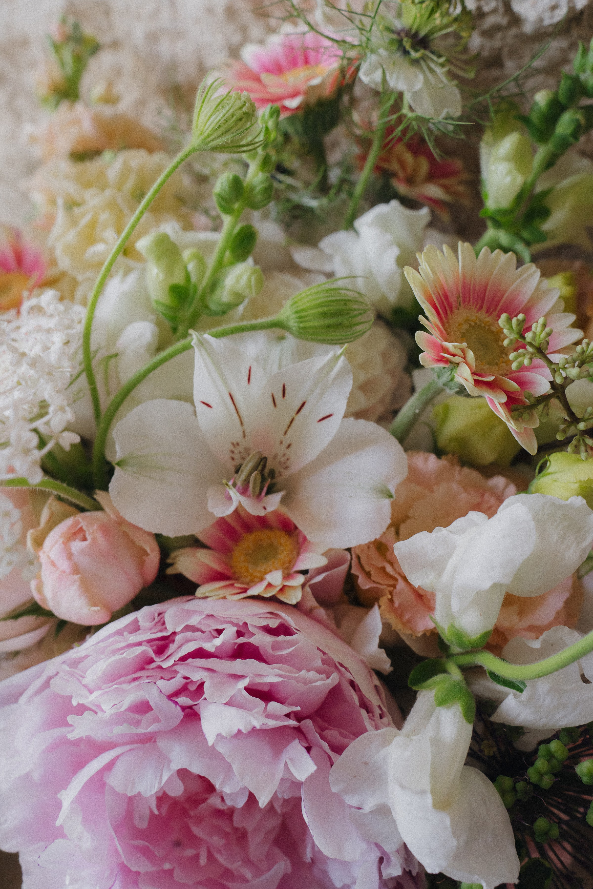 Евгений&Александра. Свадебный и семейный фотограф в Краснодаре и крае