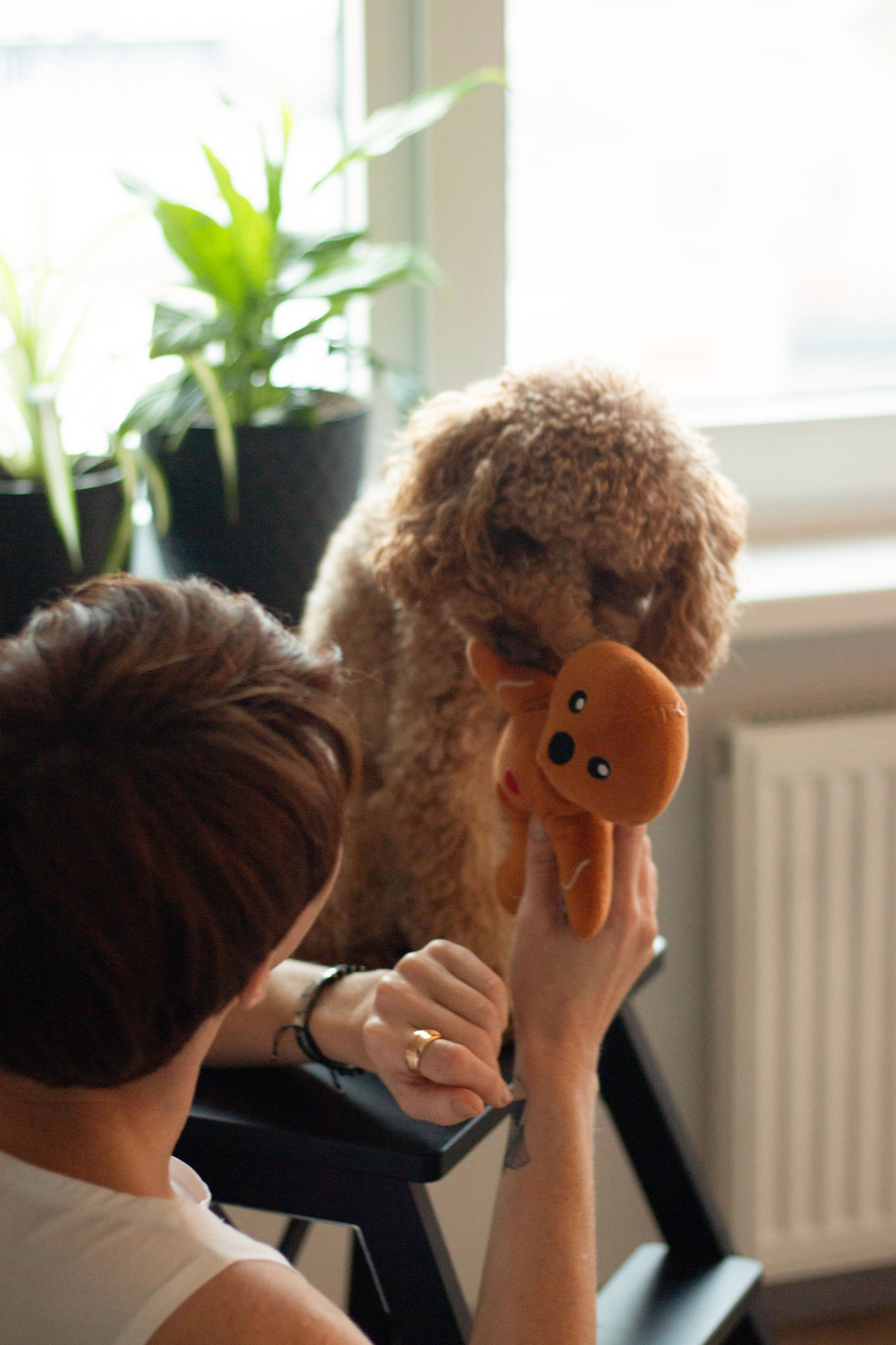 Olga & Eric. Бережно сохраняю ваши чувства и истории на своих фотографиях