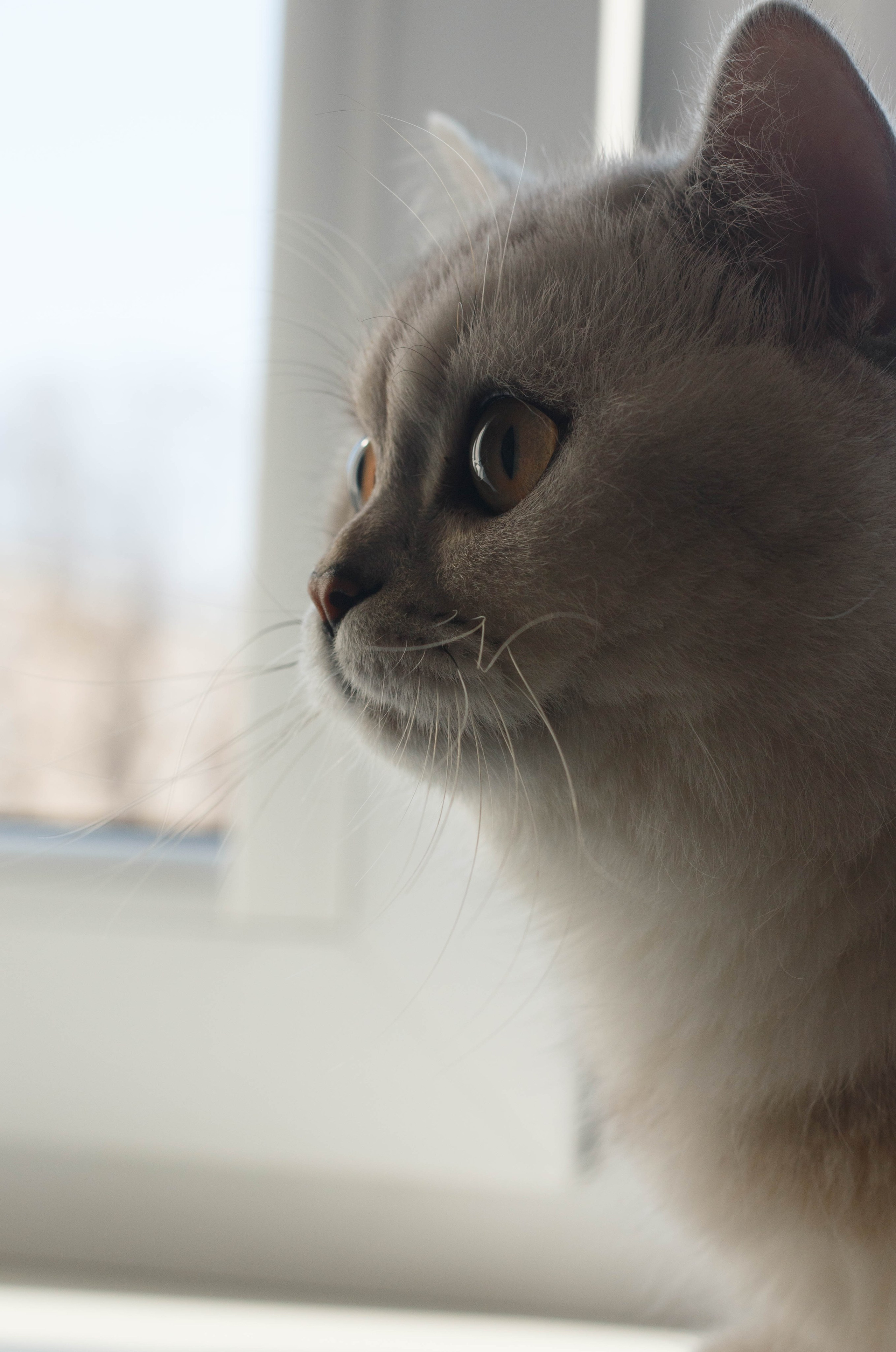 NASTYA & KITTI. Бережно сохраняю ваши чувства и истории на своих фотографиях