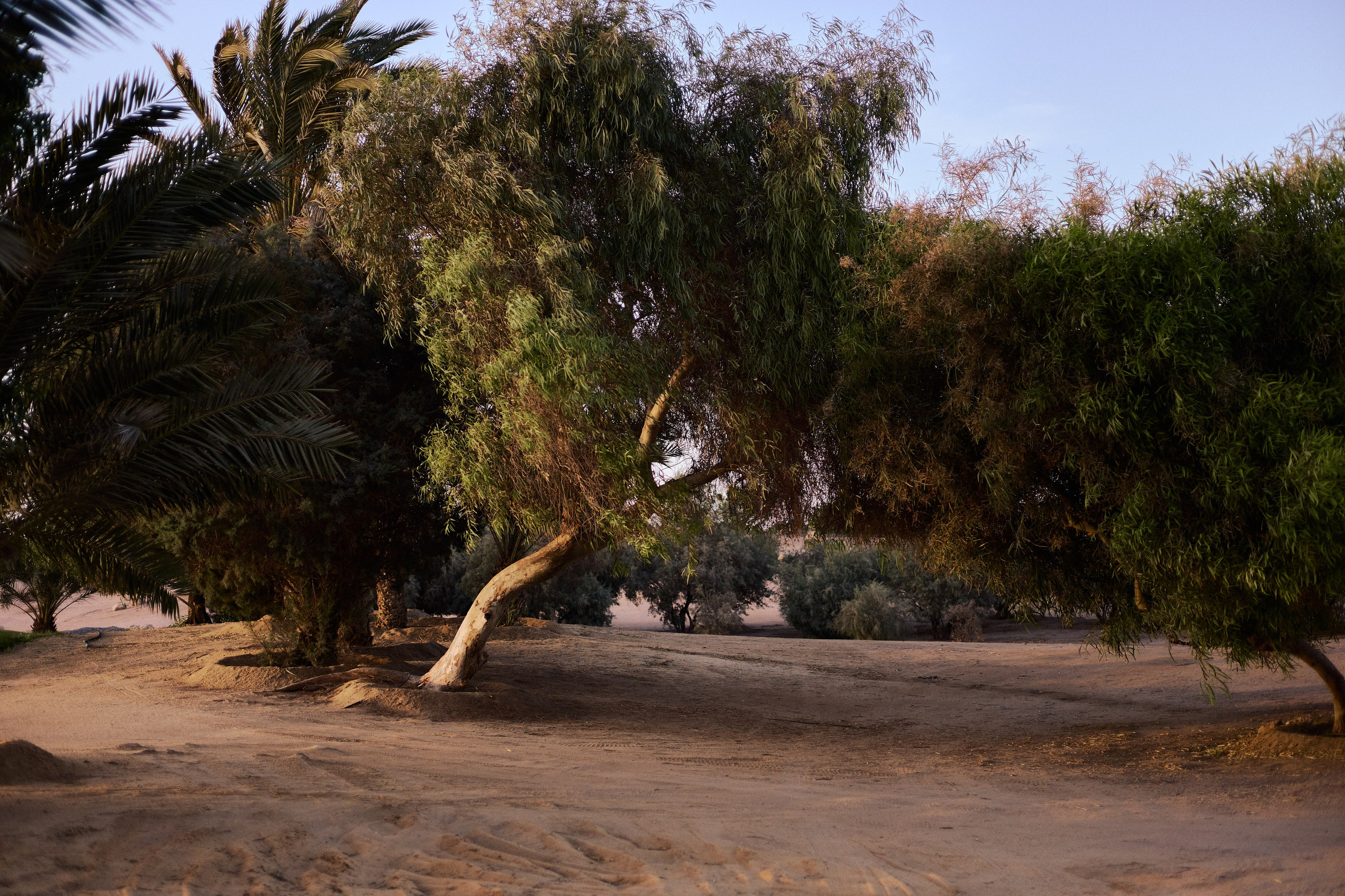 Улица горизонтальная. Jorgis — фотограф в Хургаде / обучение фотографии