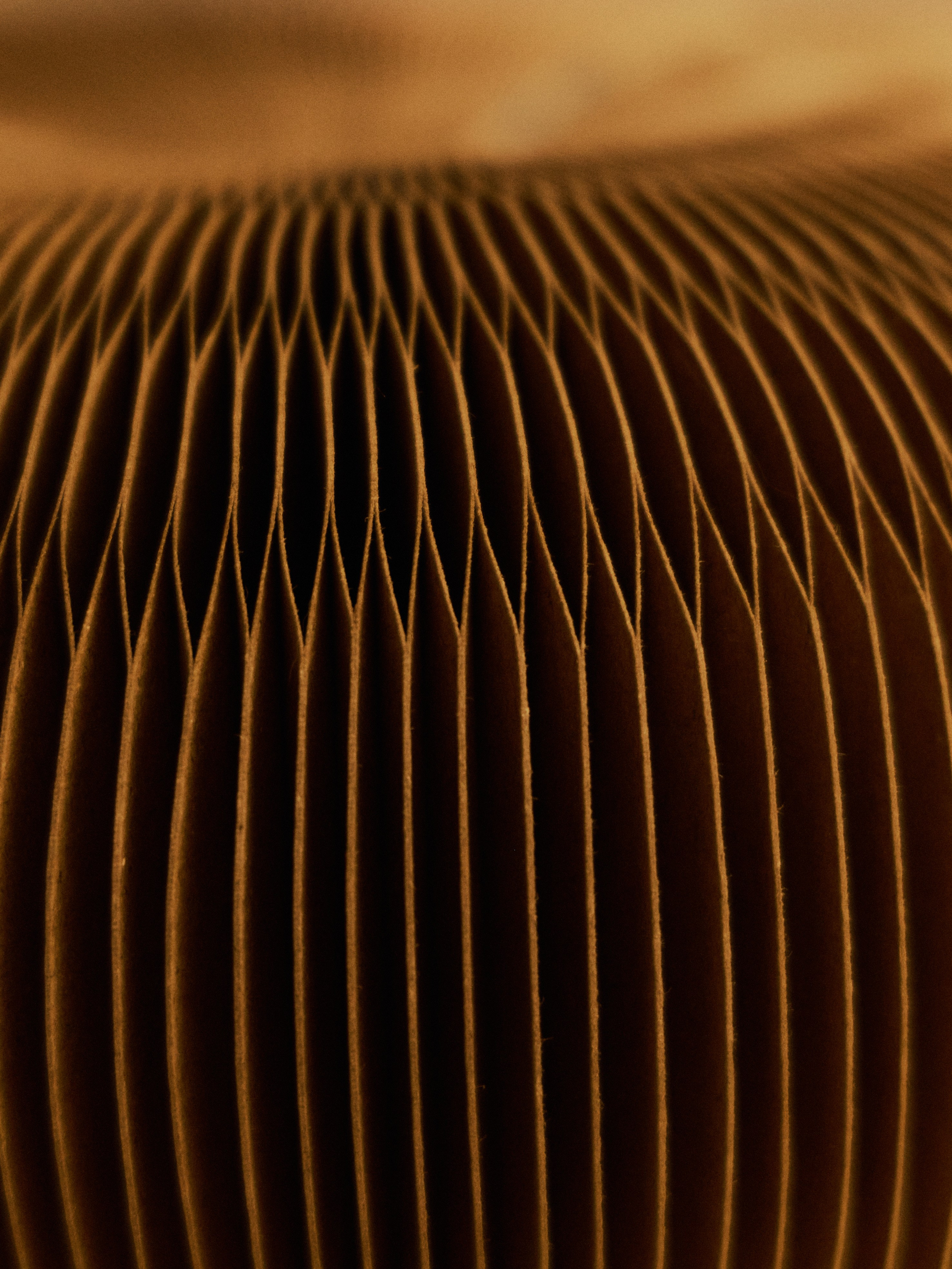 Другое 4. Jorgis — фотограф в Хургаде / обучение фотографии