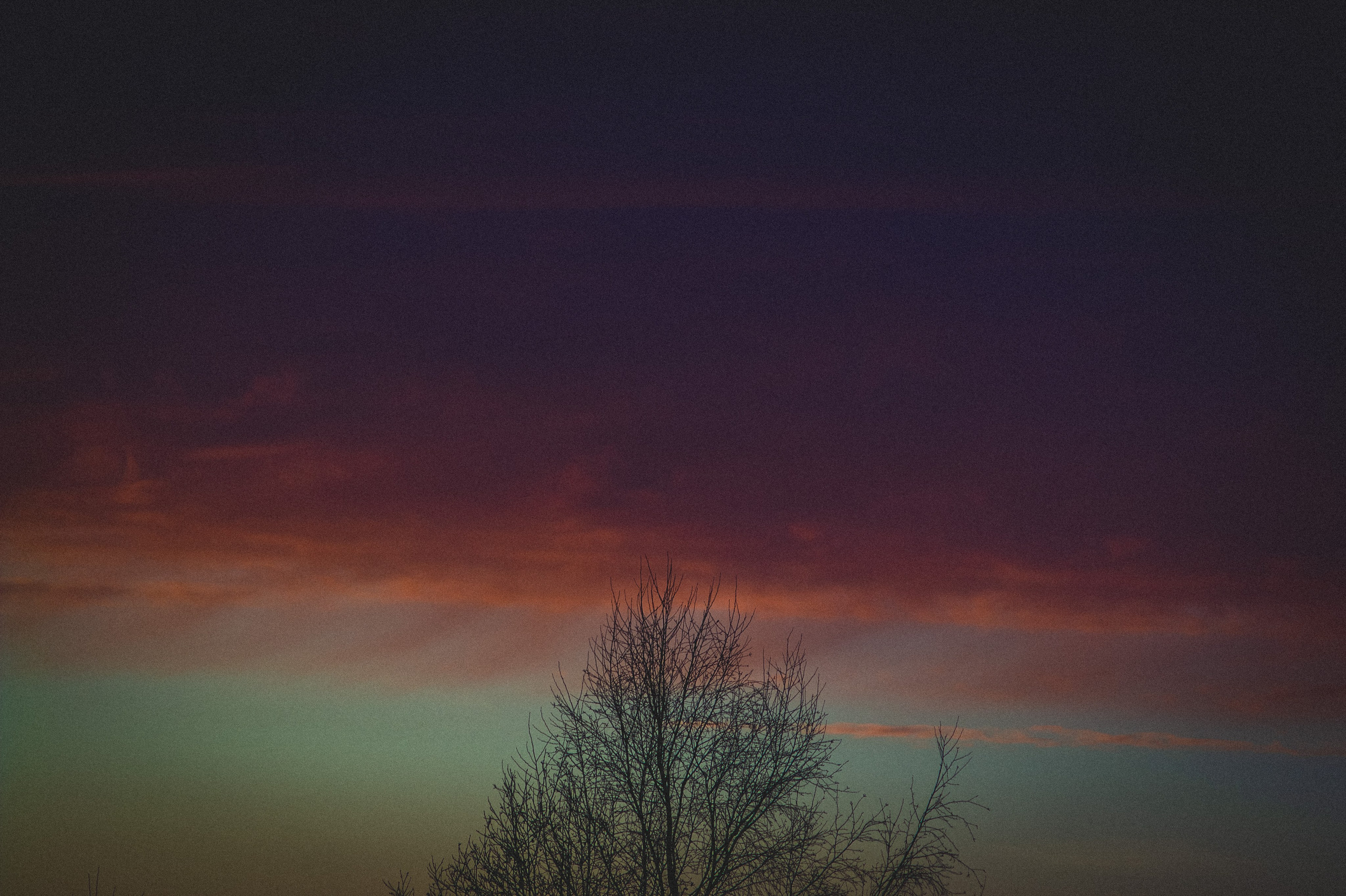 The Road to Truth. Den Mirov — Photographer, Musician