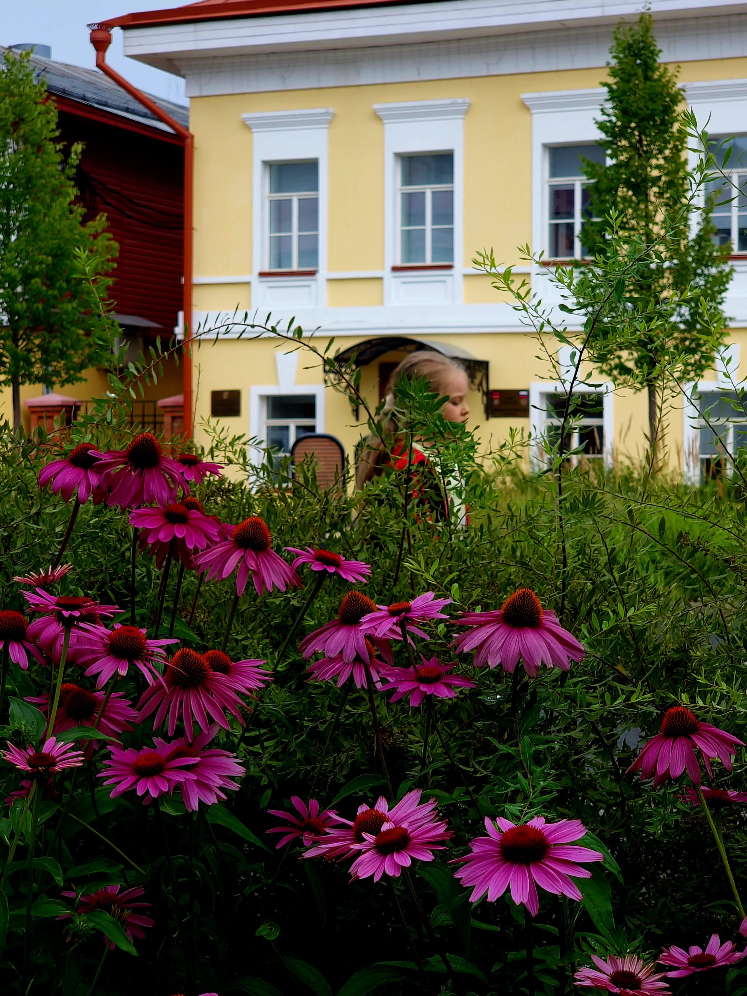 Август 2025. Den Mirov — Фотограф, Музыкант