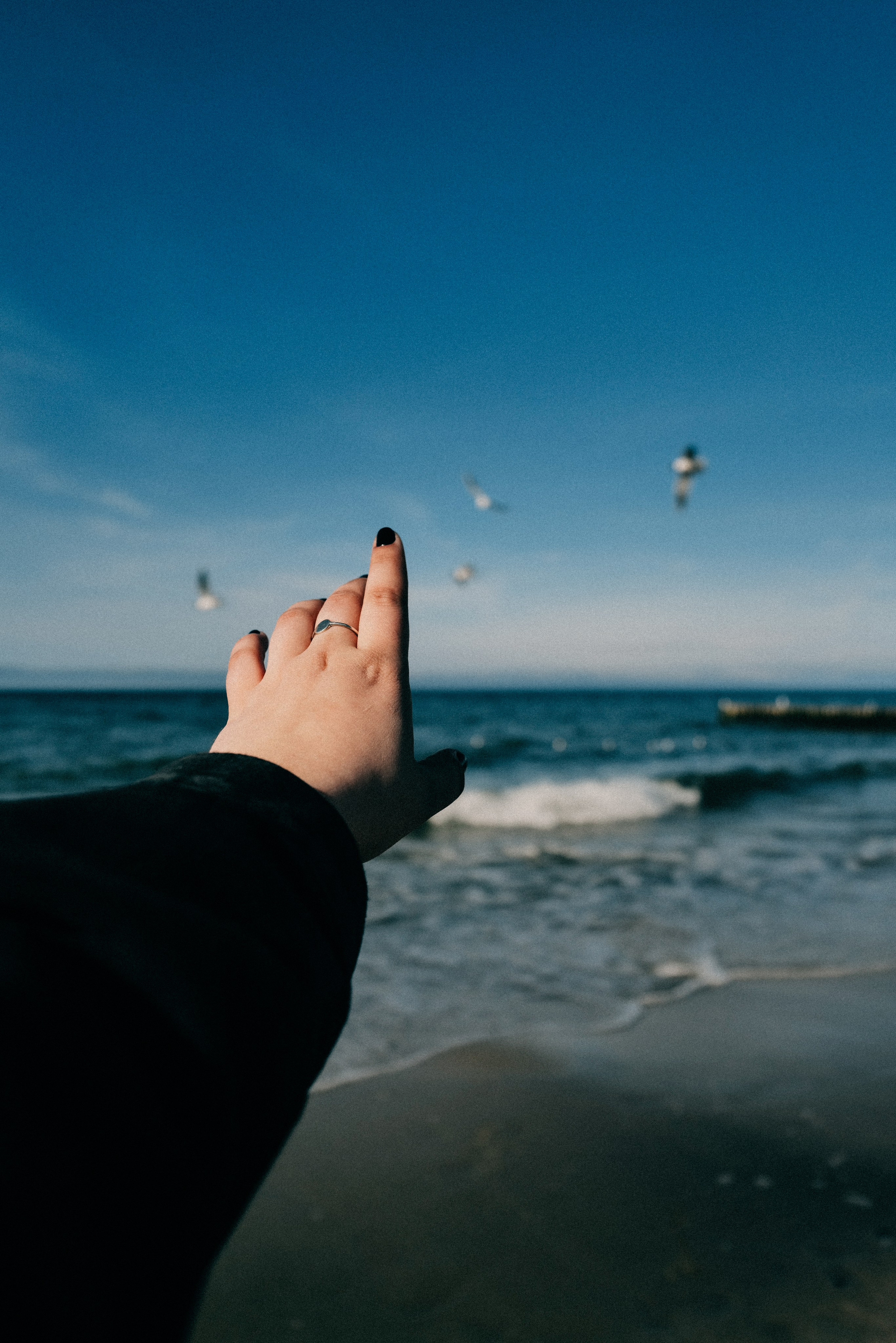 Zelenogradsk. Фотограф София Комкина