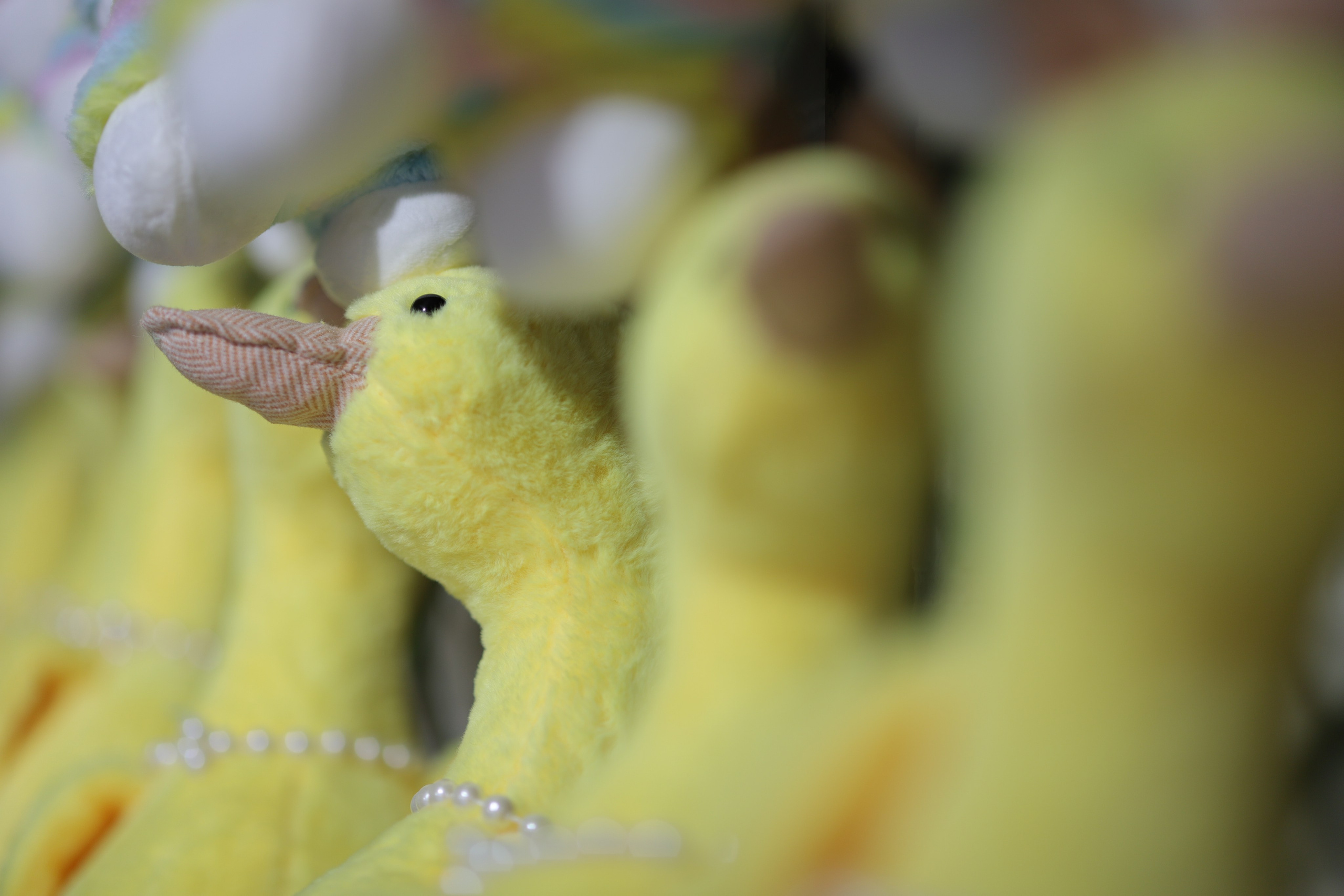 Репортаж. Фотограф в Санкт-Петербурге Степанская Юлия