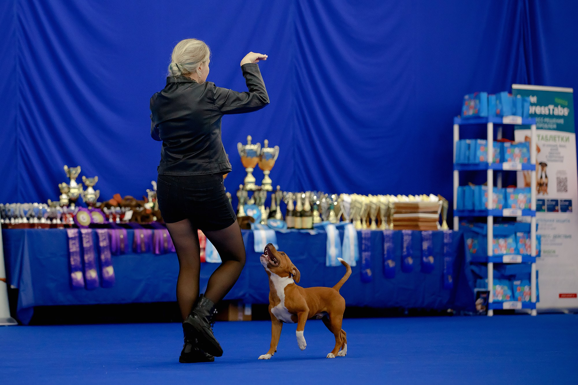 Танцы на выставке «Зоошоу», СПб. Фотограф-анималист Mary Mart — Москва, Питер