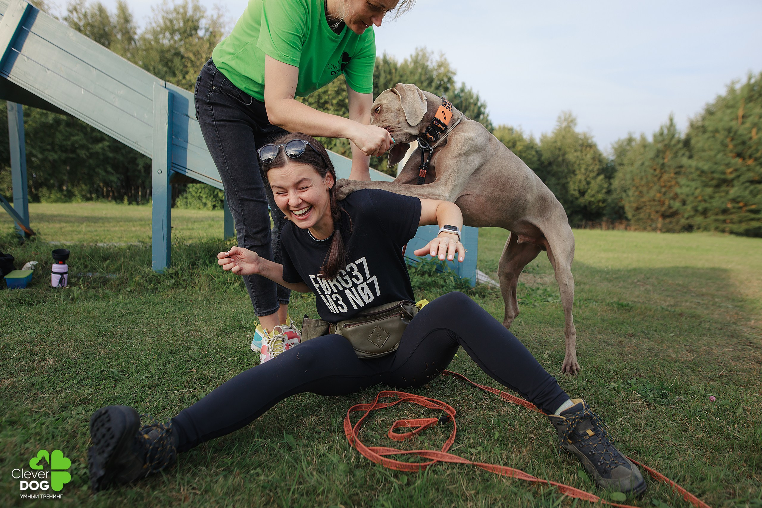 Кинологический лагерь CleverDog, 2024. Фотограф-анималист Mary Mart — Москва, Питер