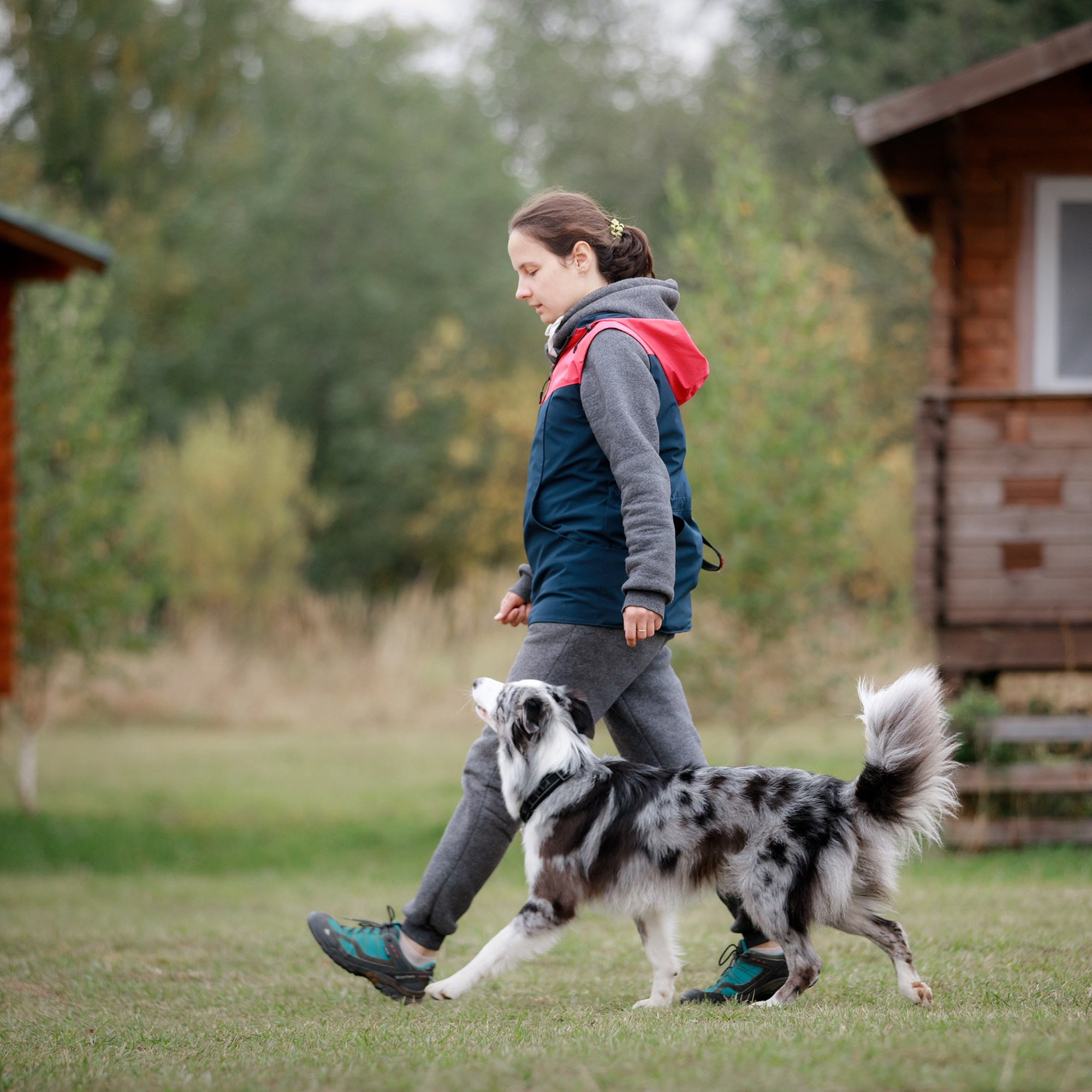 Лагерь по ОБД с Инной Баженовой. Фотограф-анималист Mary Mart — Москва, Питер