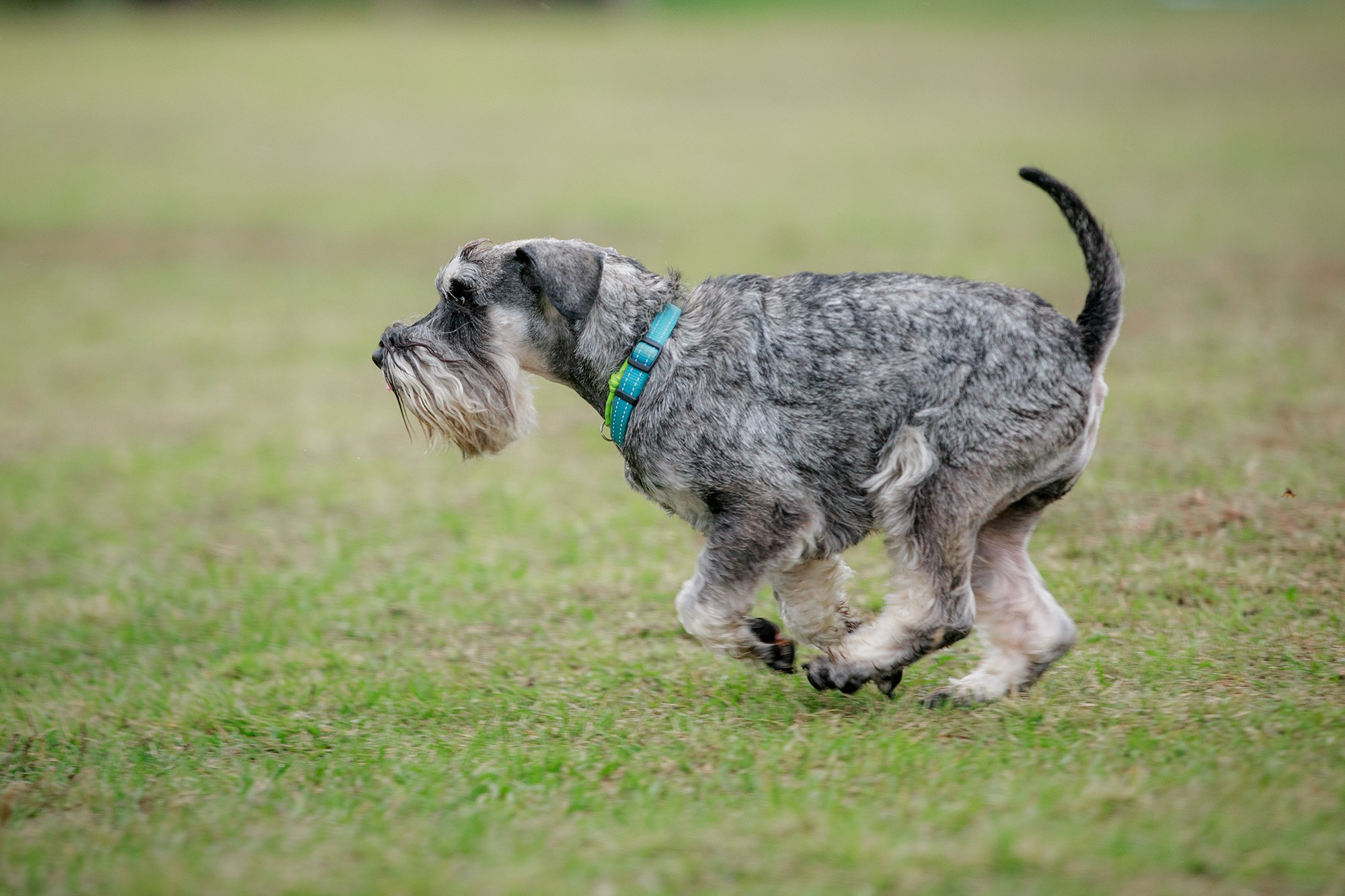Лагерь по ОБД с Инной Баженовой. Фотограф-анималист Mary Mart — Москва, Питер