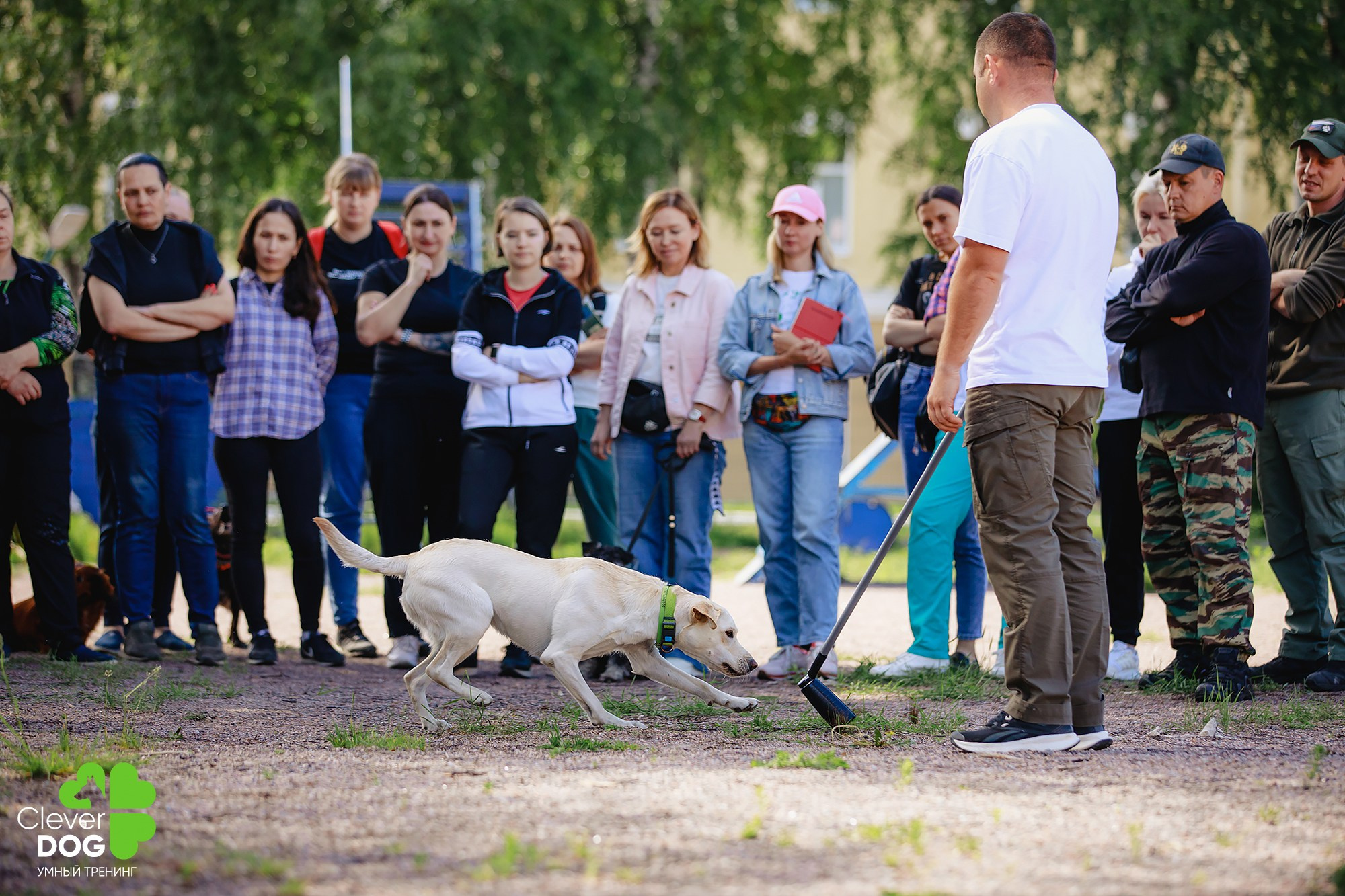 Семинар по поиску запаха с Иваном Ломовым, организатор CleverDog, СПб. Фотограф-анималист Mary Mart — Москва, Питер