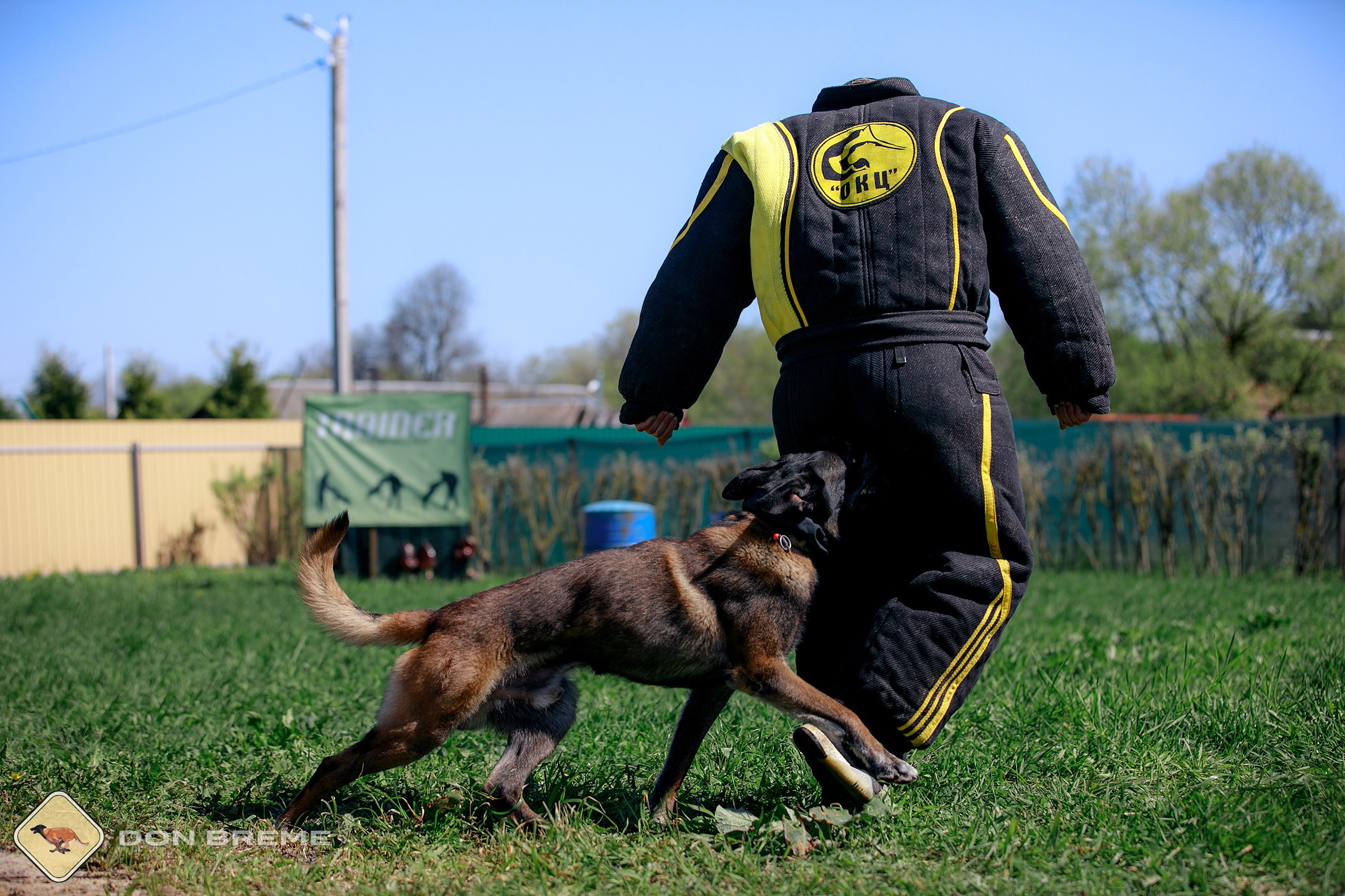 Семинар для фигурантов, день 3. Фотограф-анималист Mary Mart — Москва, Питер