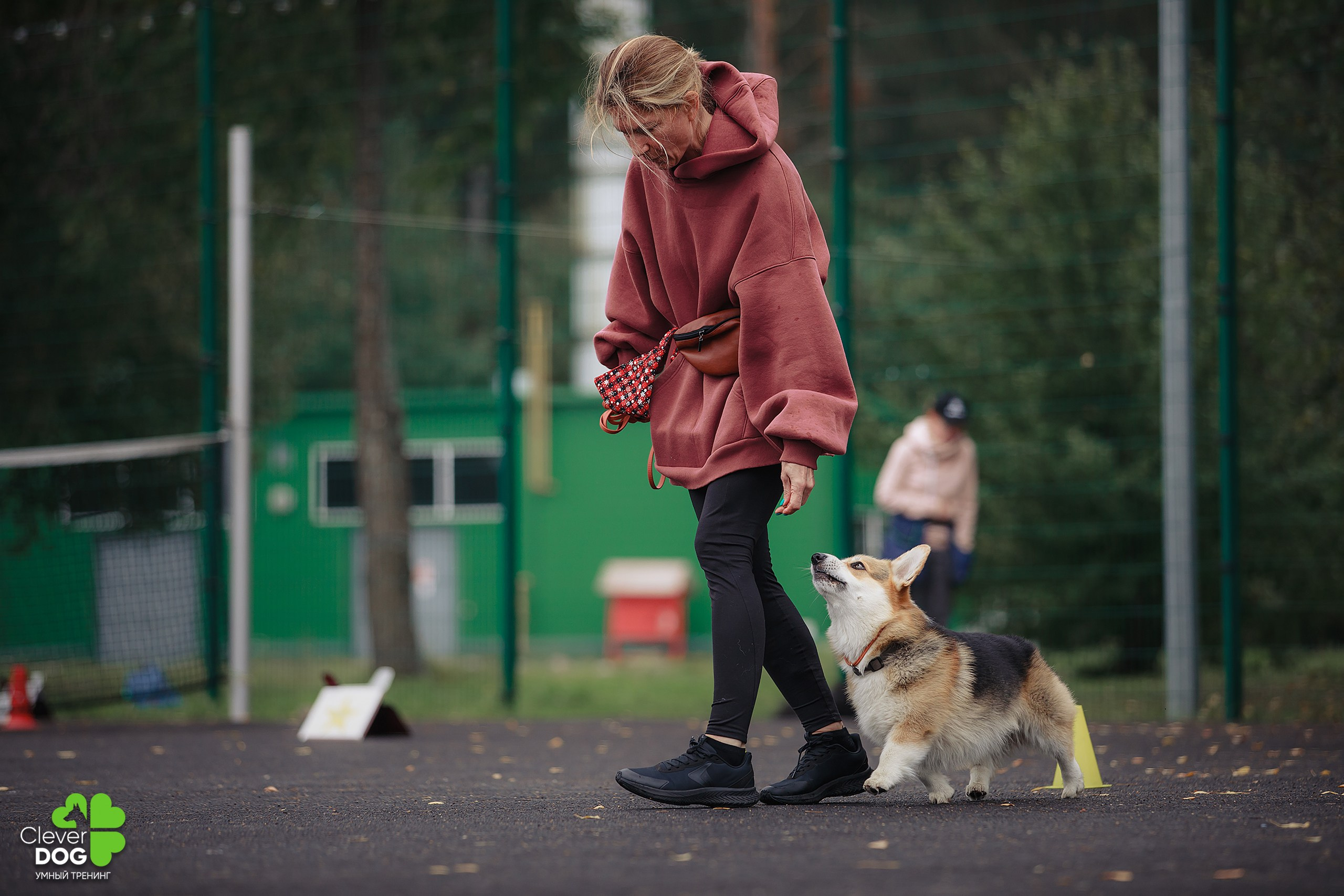 Кинологический лагерь CleverDog, 2024. Фотограф-анималист Mary Mart — Москва, Питер