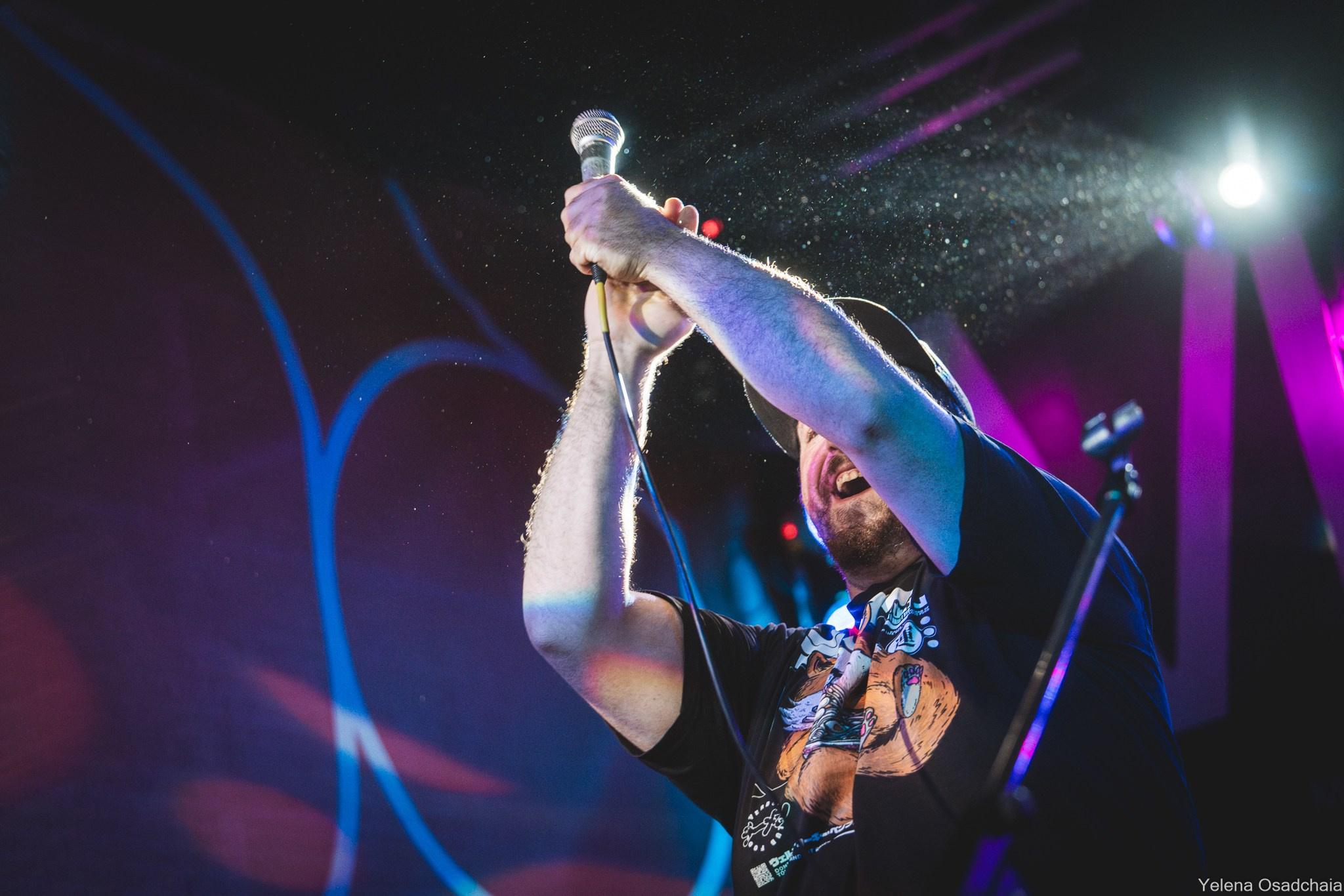 Живой 2025 — День 1. Елена Осадчая — фотографирую музыку на сцене и в жизни