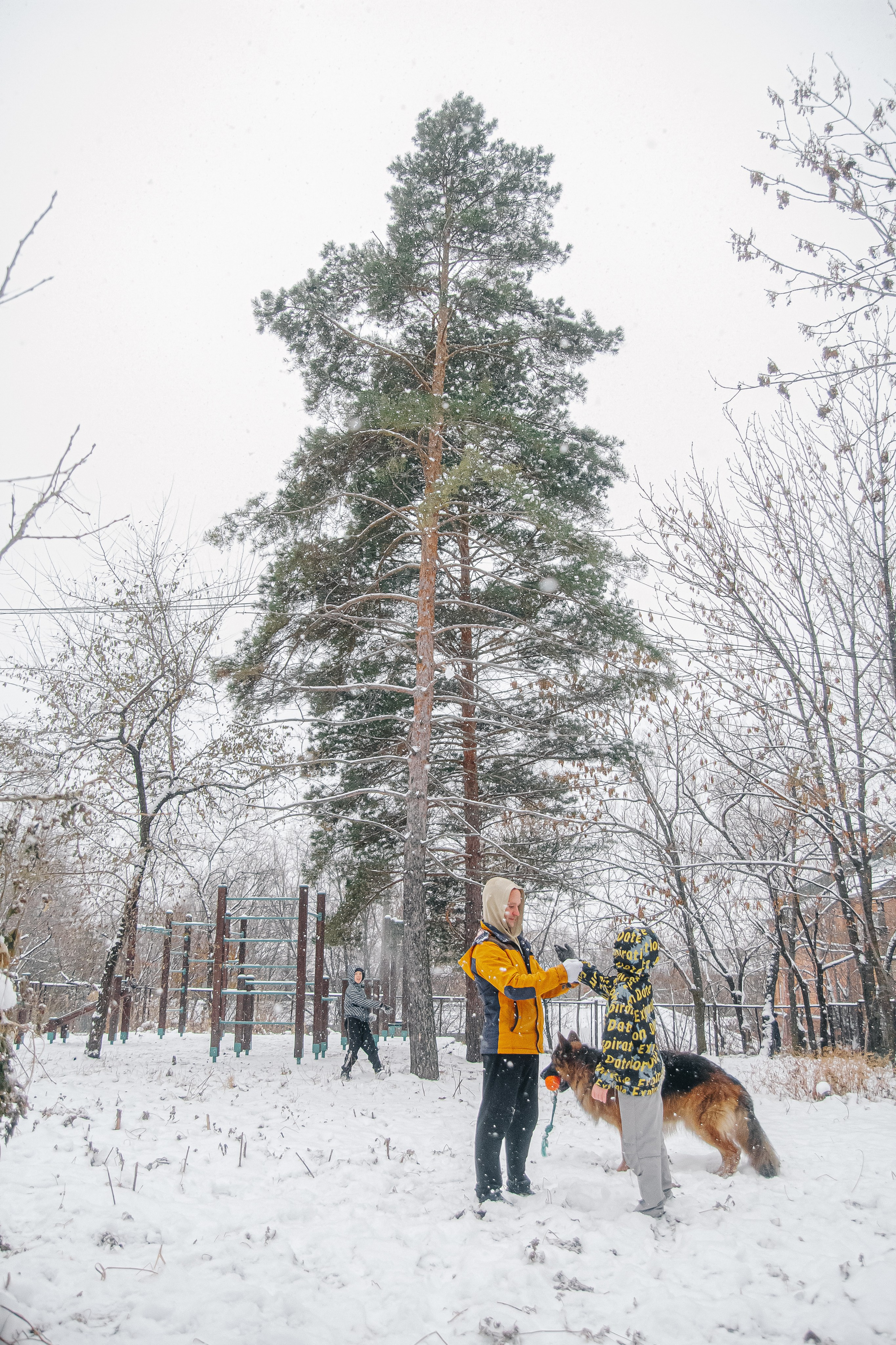 Первый снег 24. Фотограф в Хабаровске Юлия Чванова