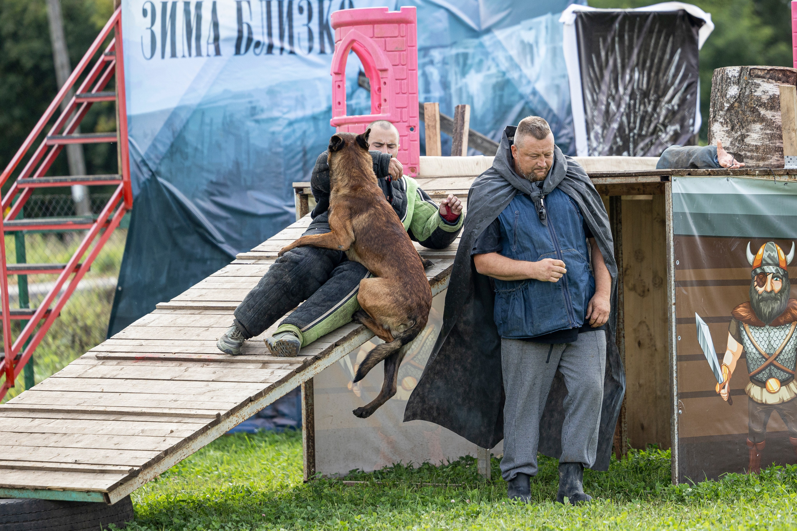 Соревнования по Мондьорингу г. Вологда 10-11.08.2024. Фотограф-анималист Анна Маринич
