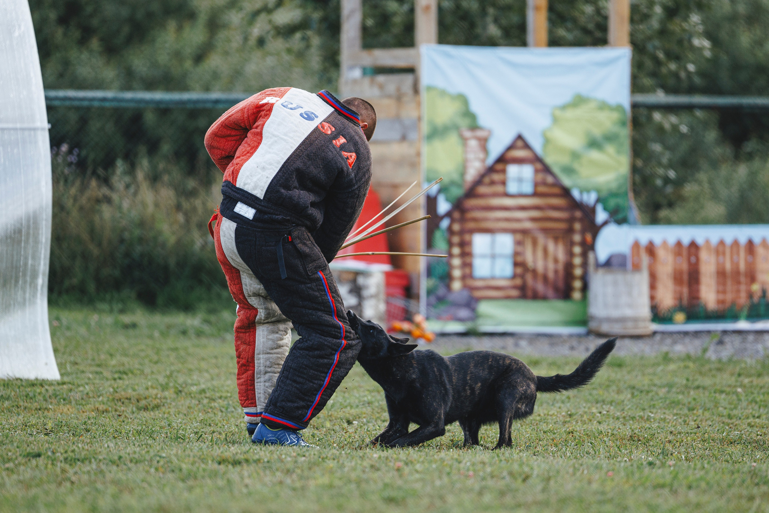 08.08.25-10.08.25 ЧР по мондьорингу г. Вологда. Фотограф-анималист Анна Маринич