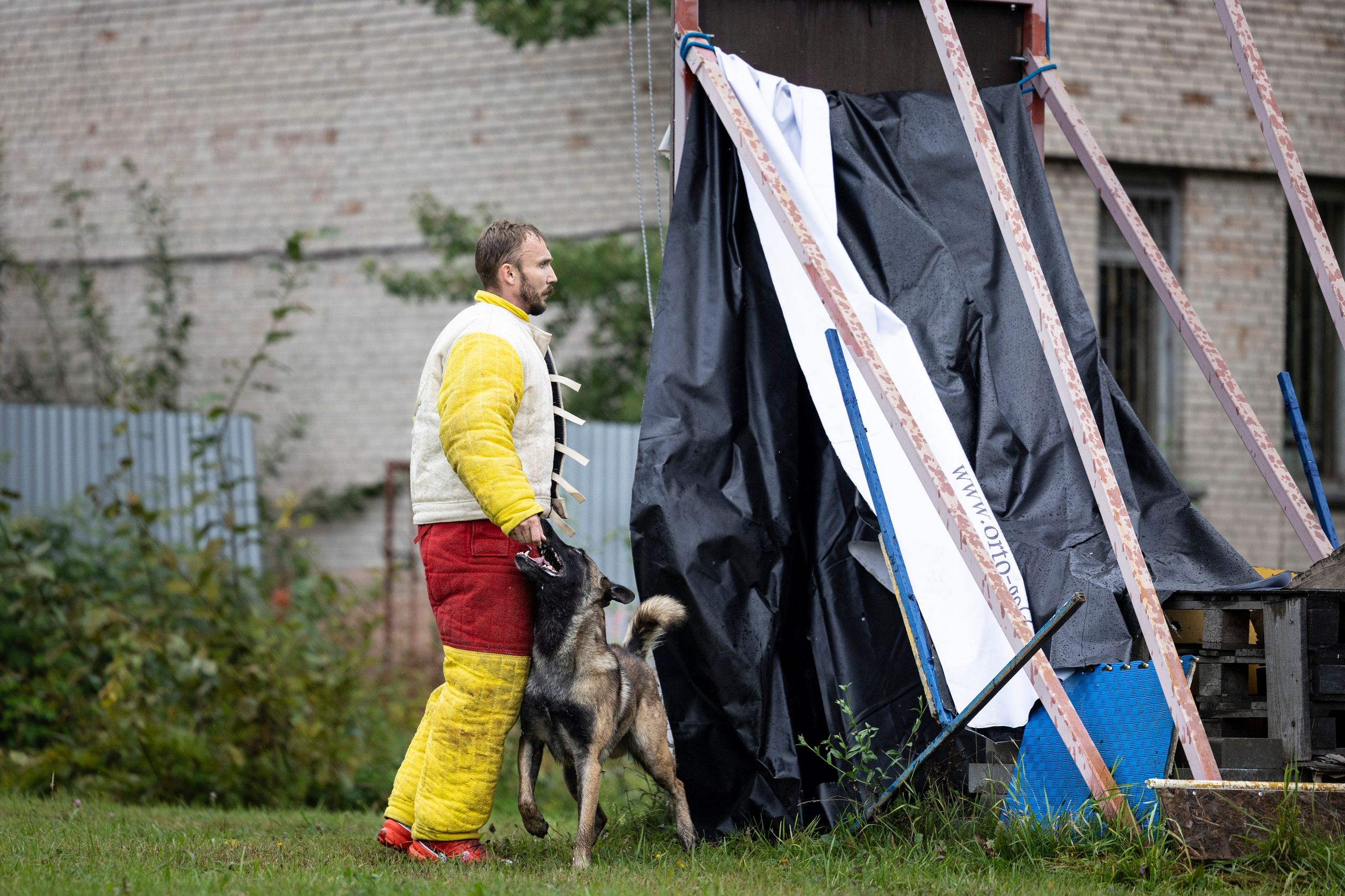 Испытания по Мондьорингу г. Пушкин. Фотограф-анималист Анна Маринич