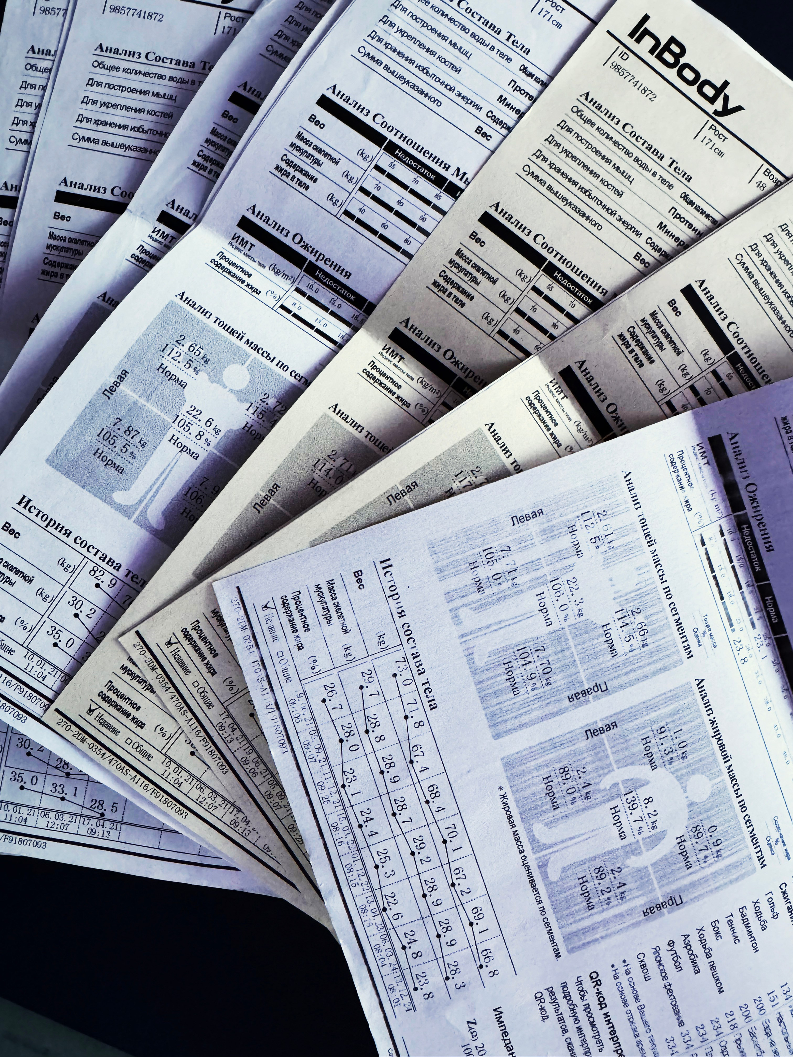 Четвертый кит. OLGA OLEYNIKOVA Пространство, люди, смыслы