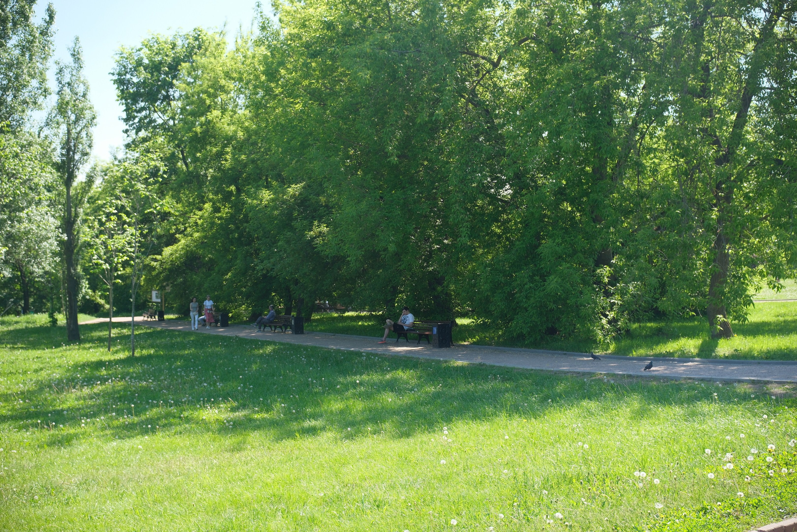 Коломенское 2024. Улица, люди, жизнь…