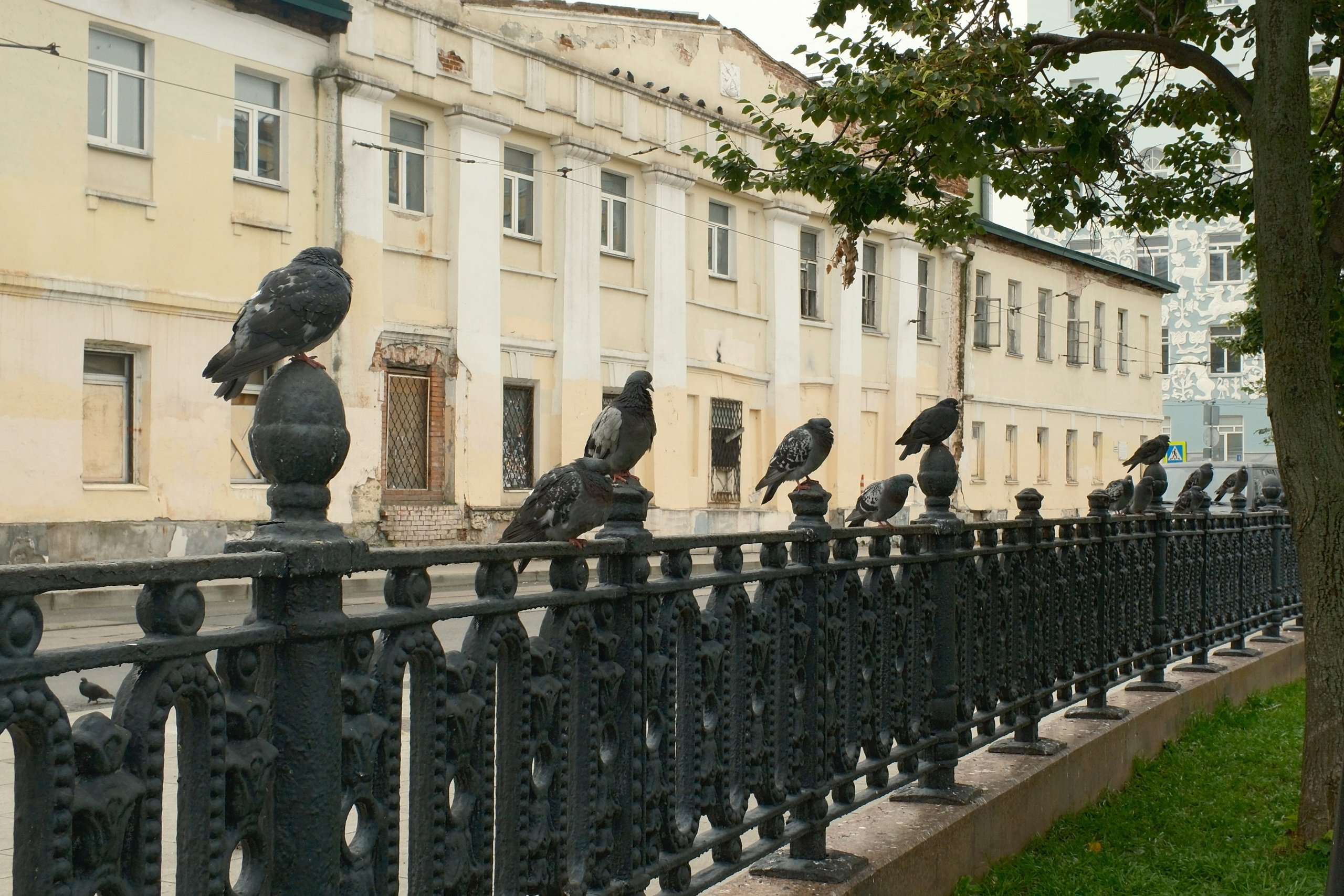 Август 2025. Улица, люди, жизнь…