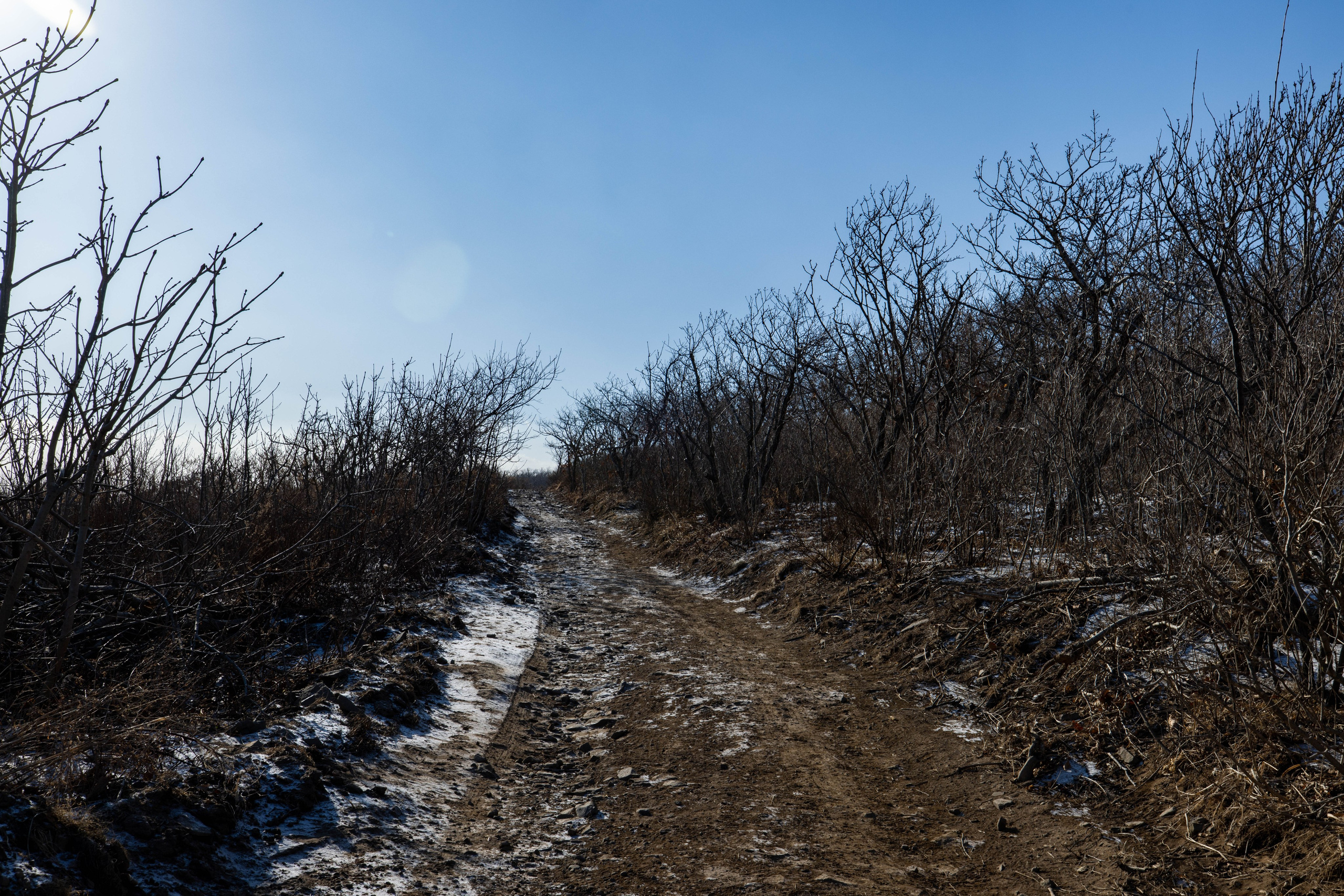 Мыс Тобизина. Турист оптимист