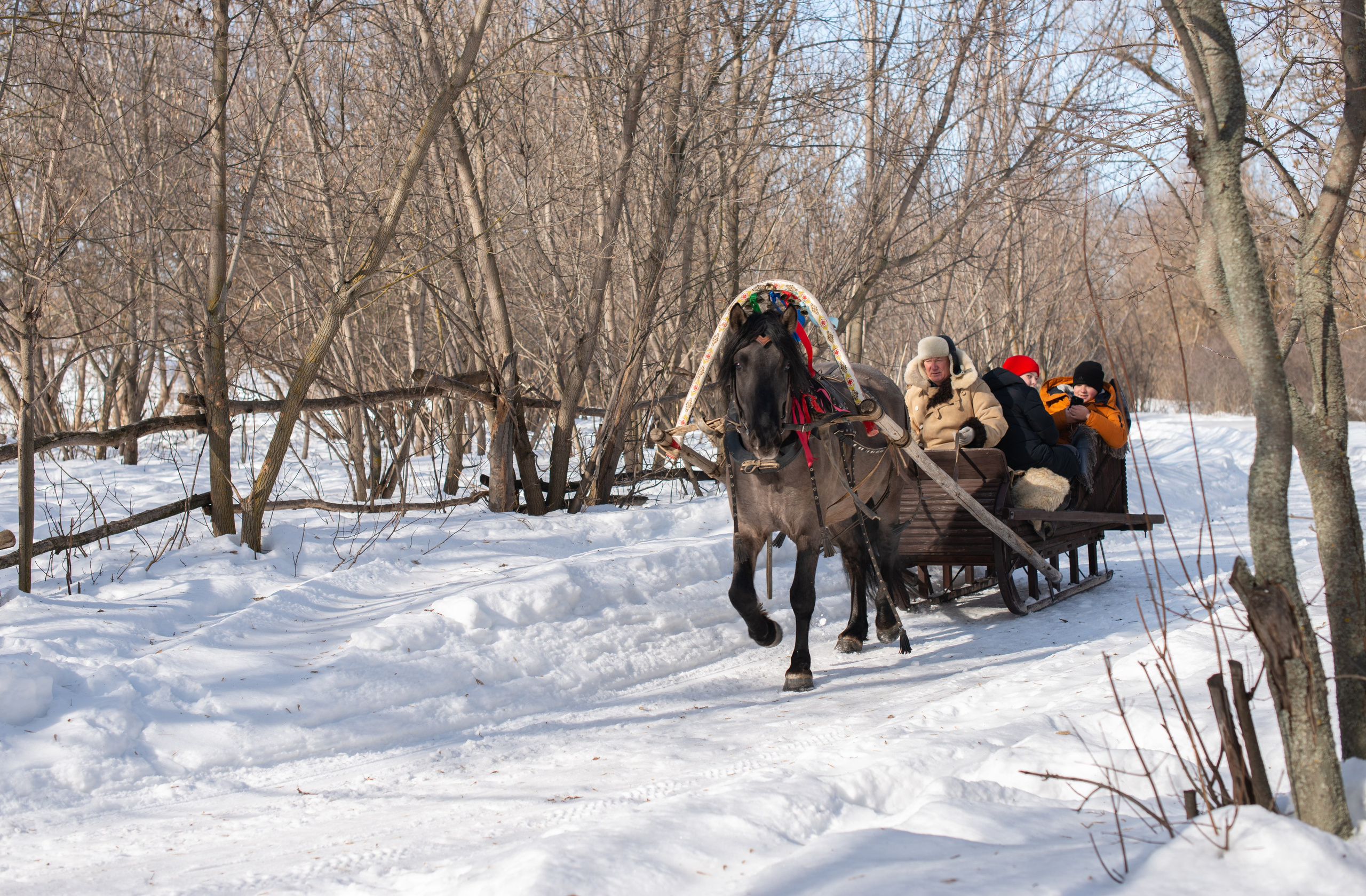 Масленичные гулянья в Боковке. Конный фотограф в Саратове Юлия Иванова
