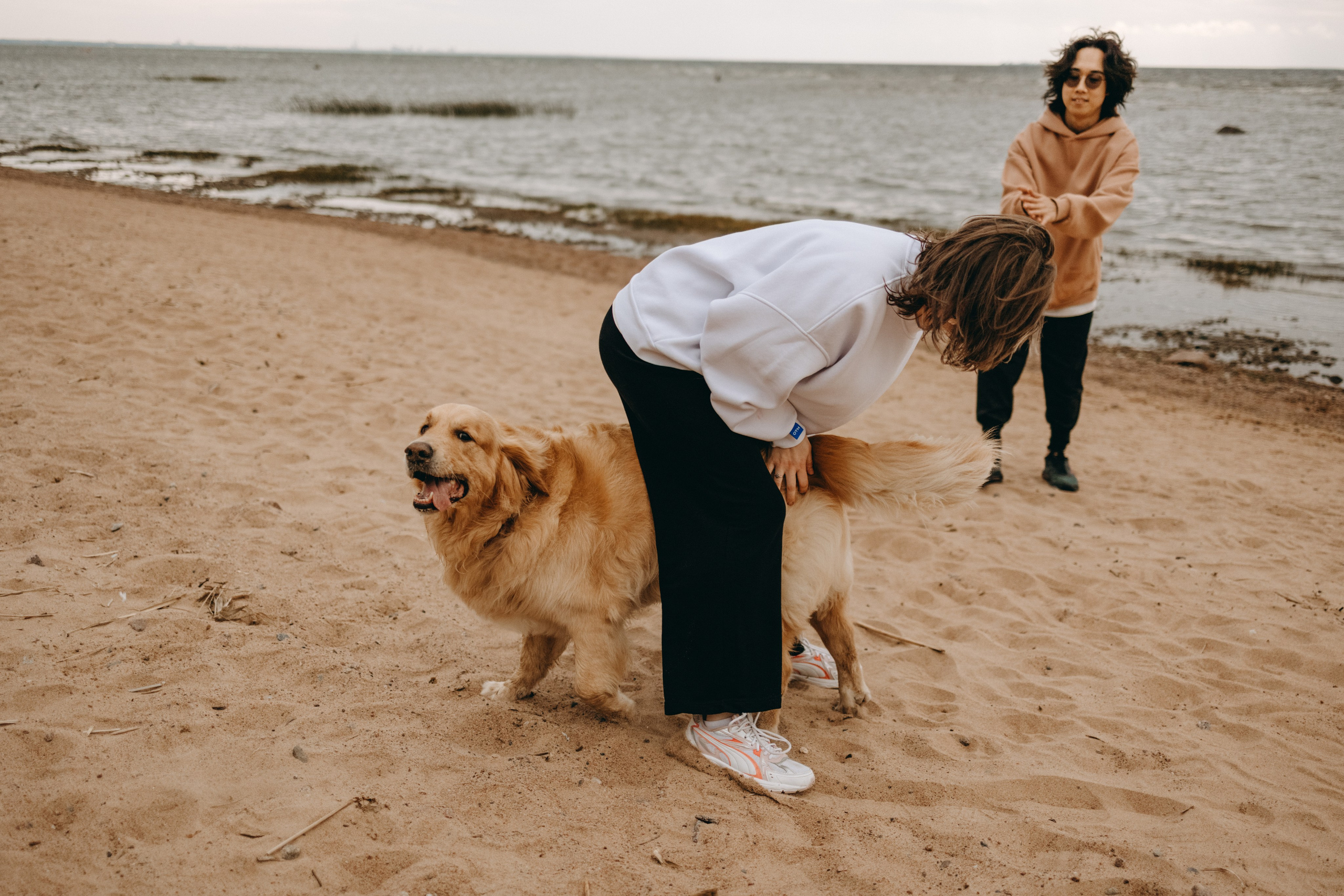 Фоси и его семьи. Фотограф — Анималист | Санкт-Петербург