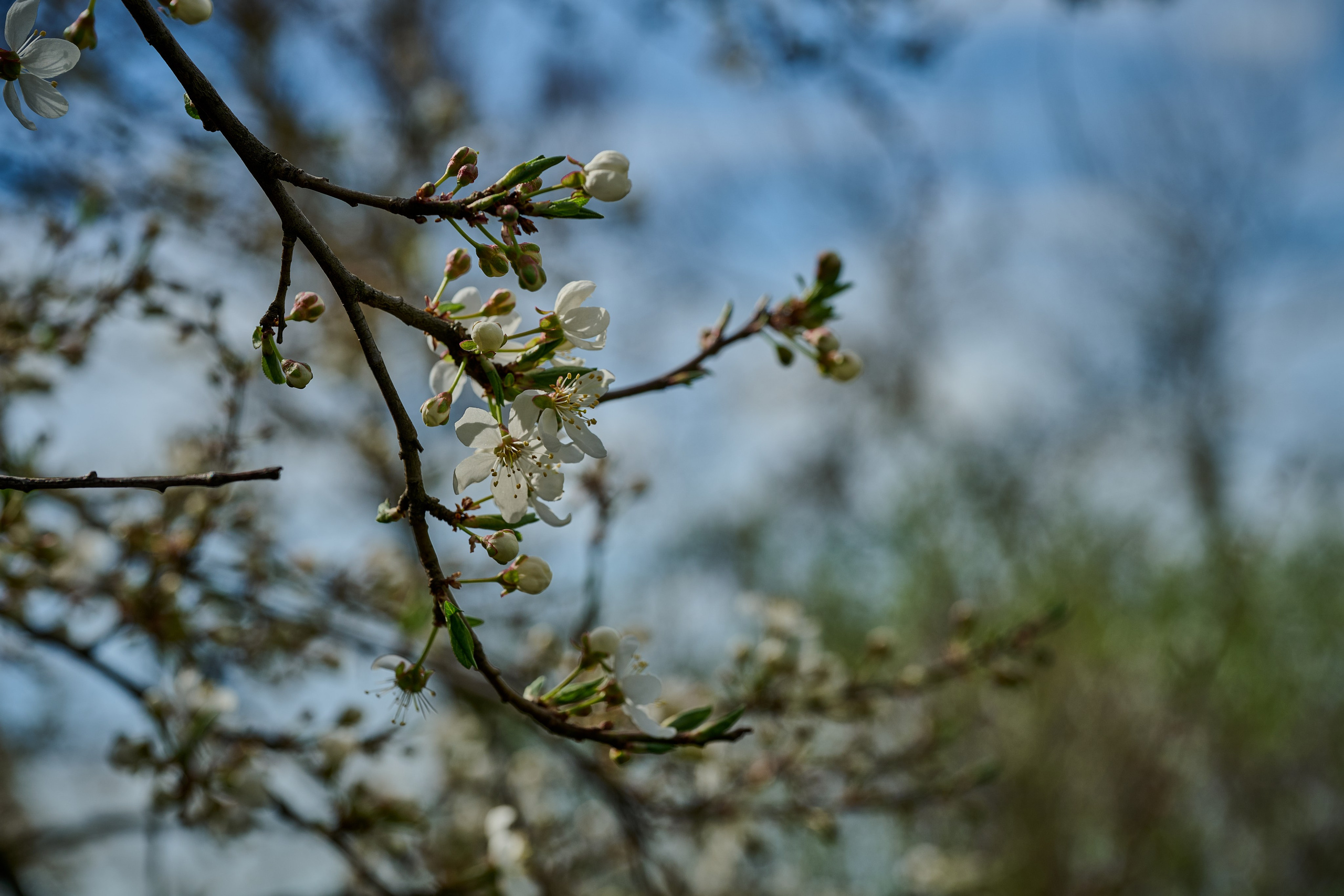 Мелитополь. Фотопроект «Территории»