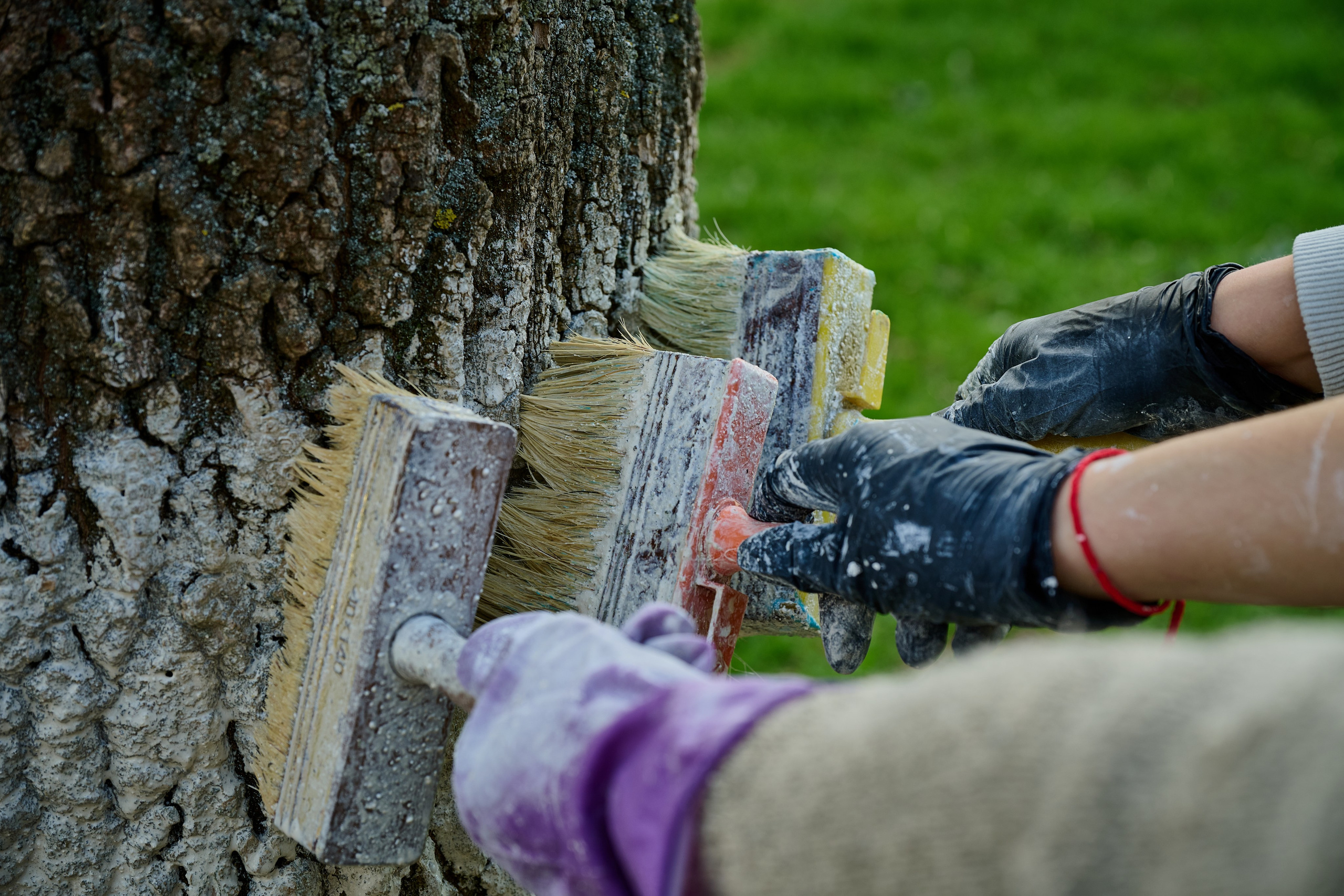 Мелитополь. Фотопроект «Территории»