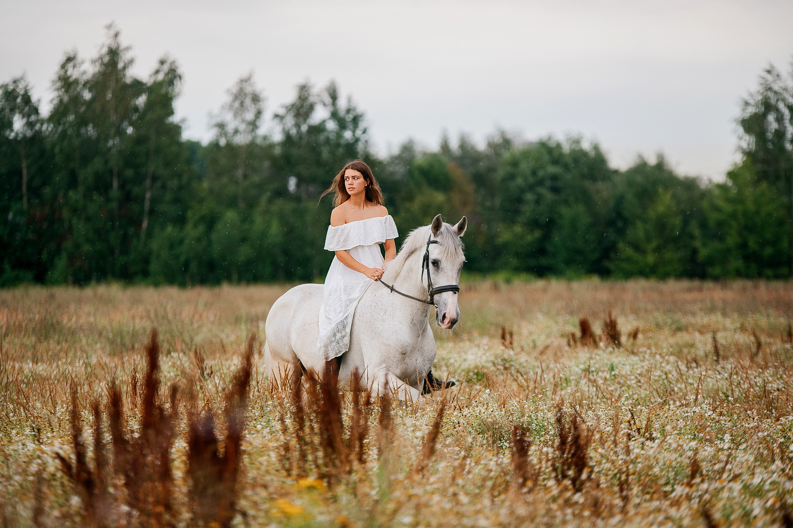 Фотосессии с лошадьми. Фотограф Рязань