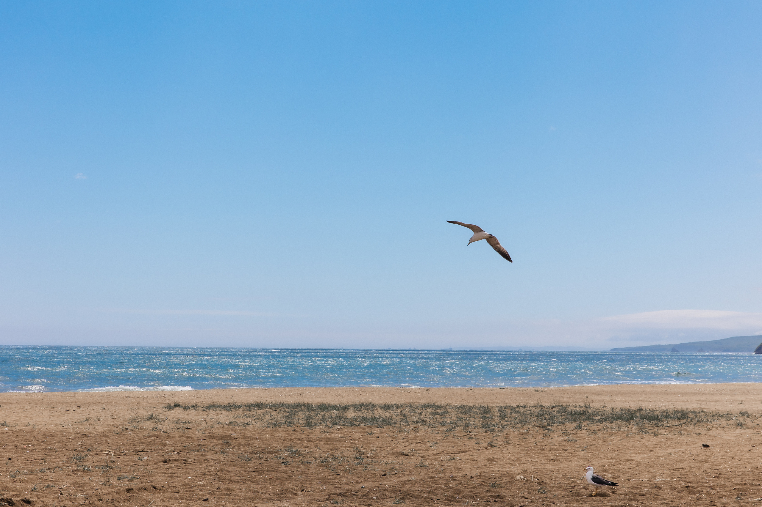 LOVE STORY. Свадебный и семейный фотограф в Москве Олеся Подколзина