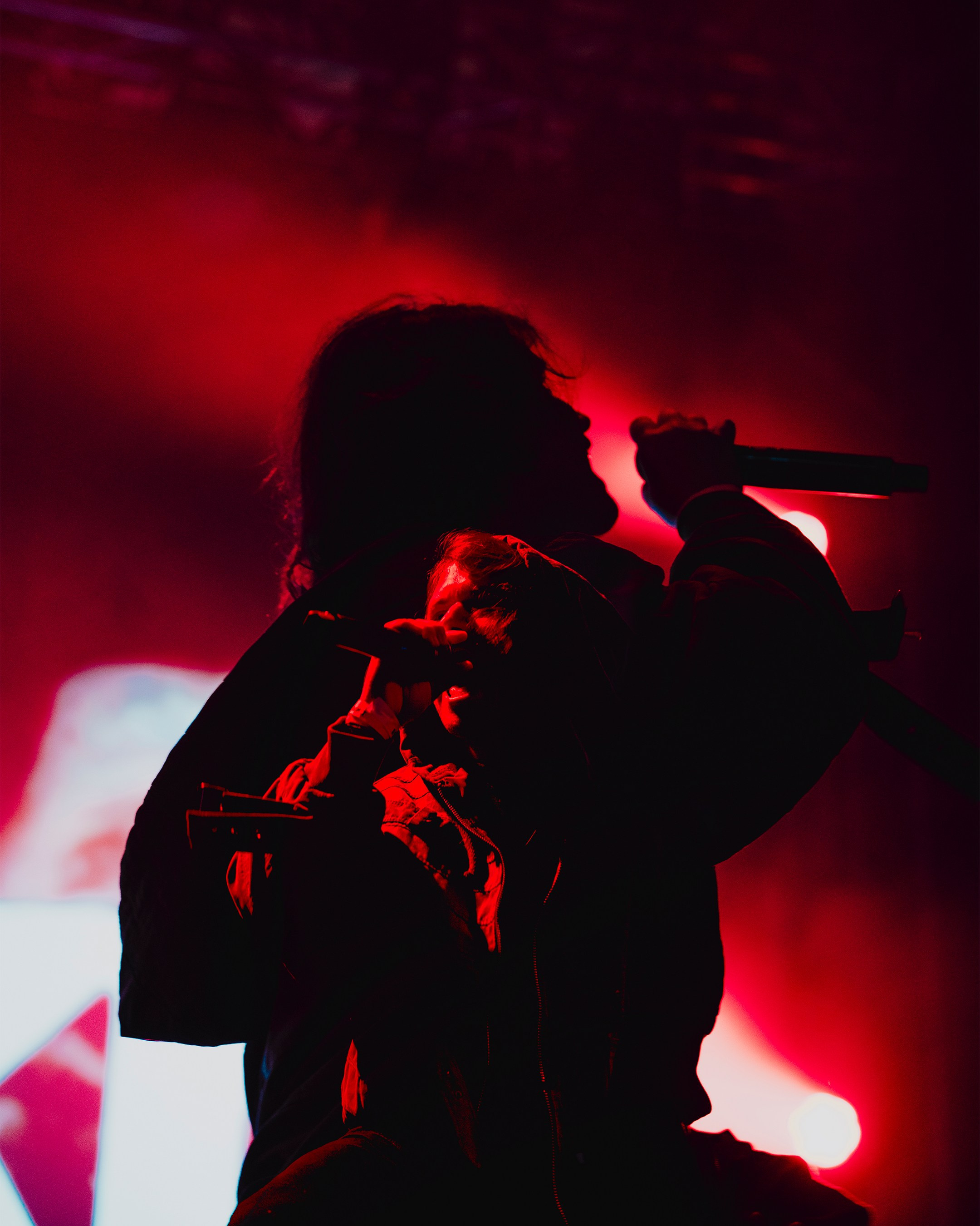 SALUKI. Фотограф в Москве и области