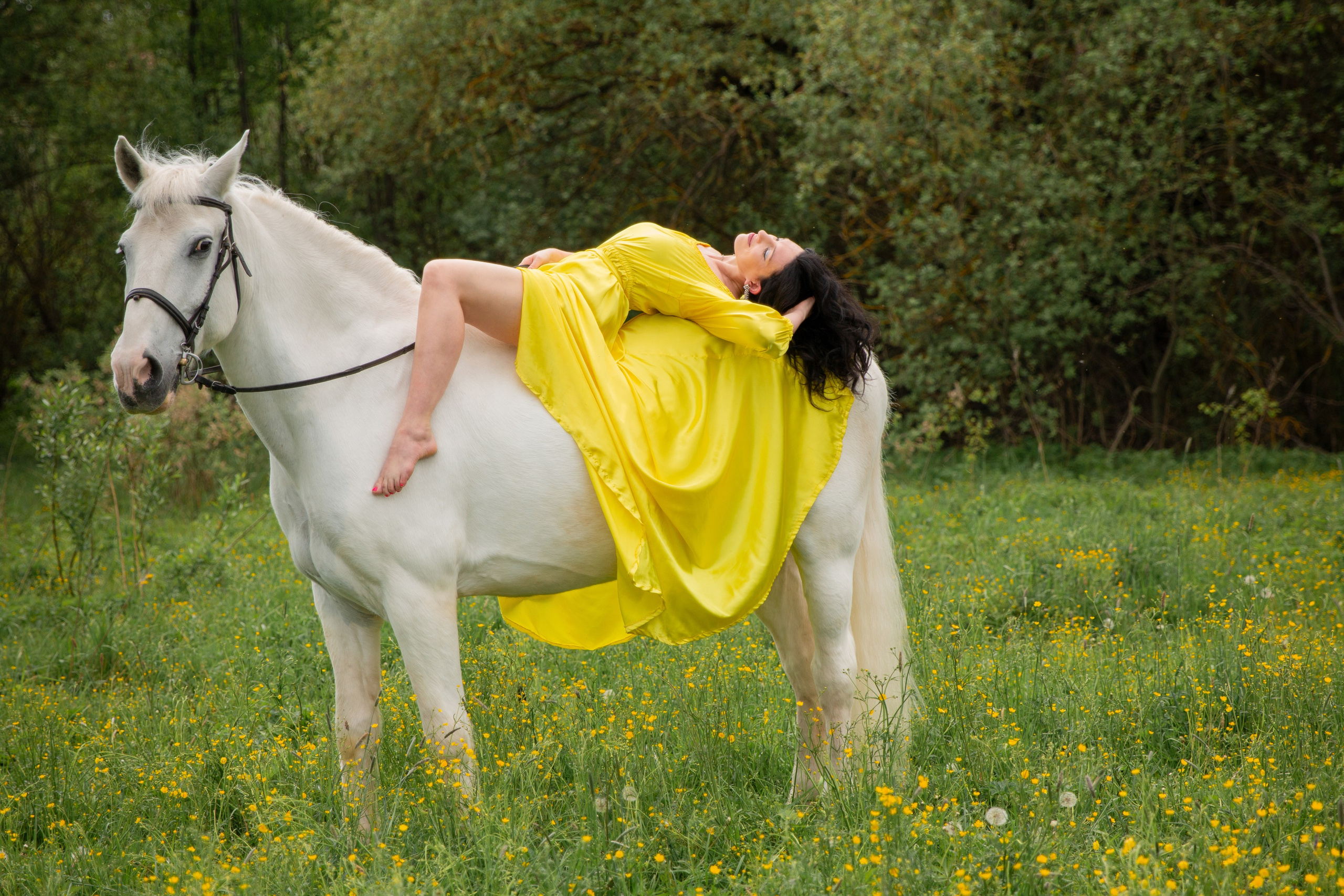 Фотосессии с лошадьми в Москве и Московской области. Конный фотограф Алеся Нечаева
