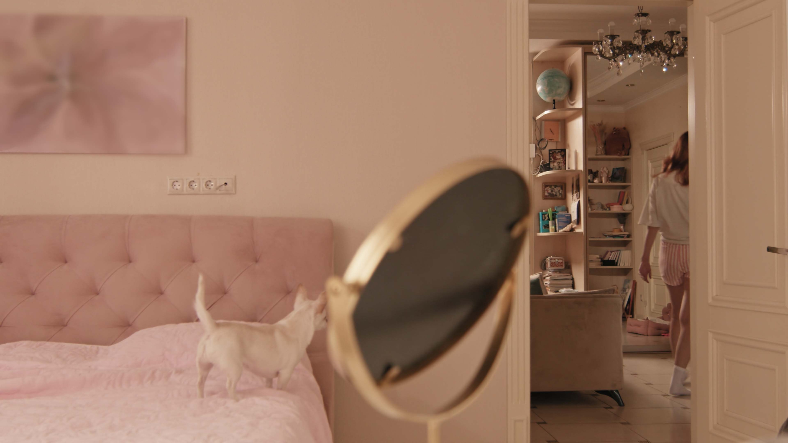 Короткометражный фильм о четвероногом друге. Цветокоррекция видео