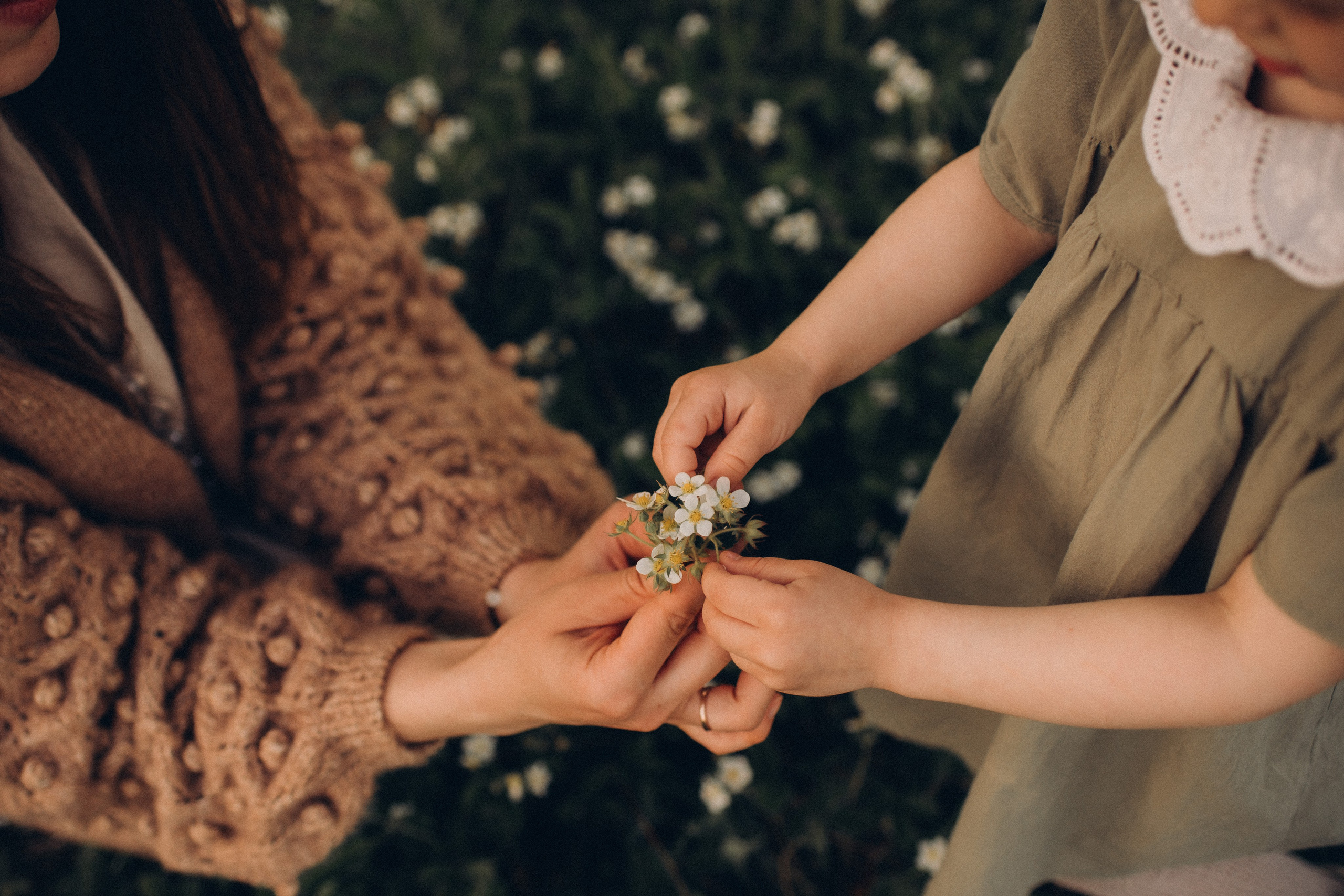 На природе. Фотограф Алиса Чечина. Калуга. Товарково