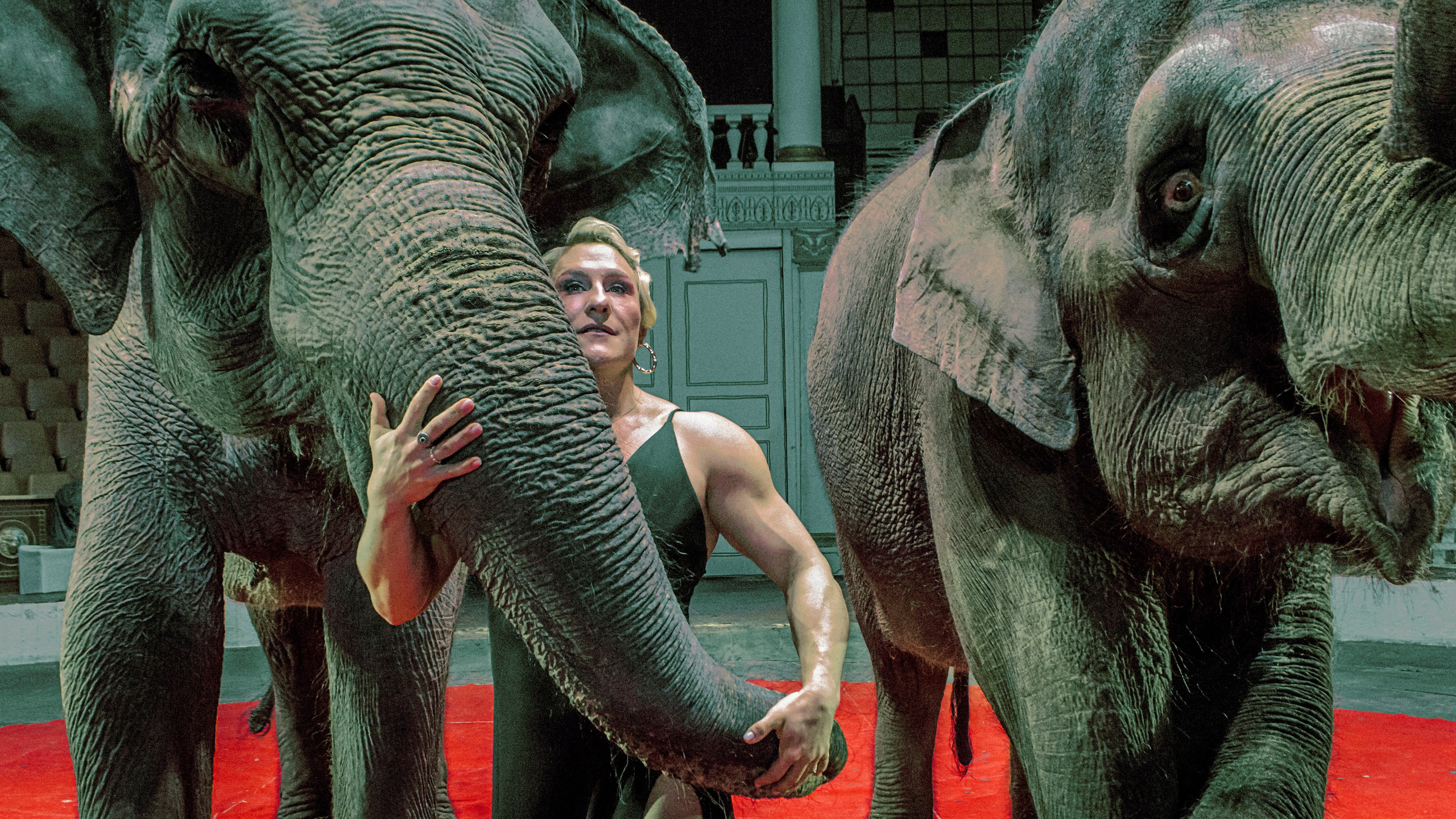 Екатерина. Главная