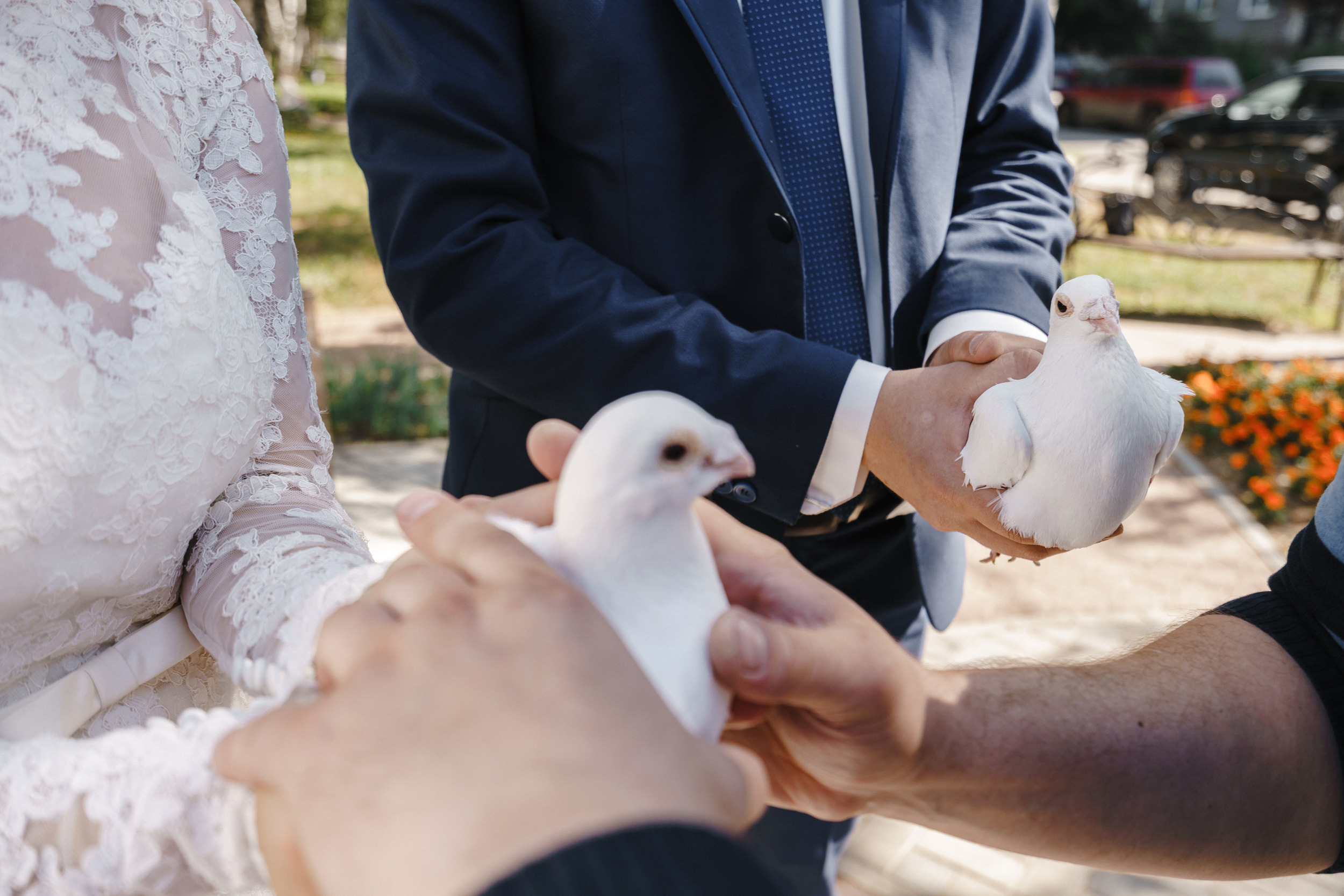 Летняя свадебная съемка красивой пары