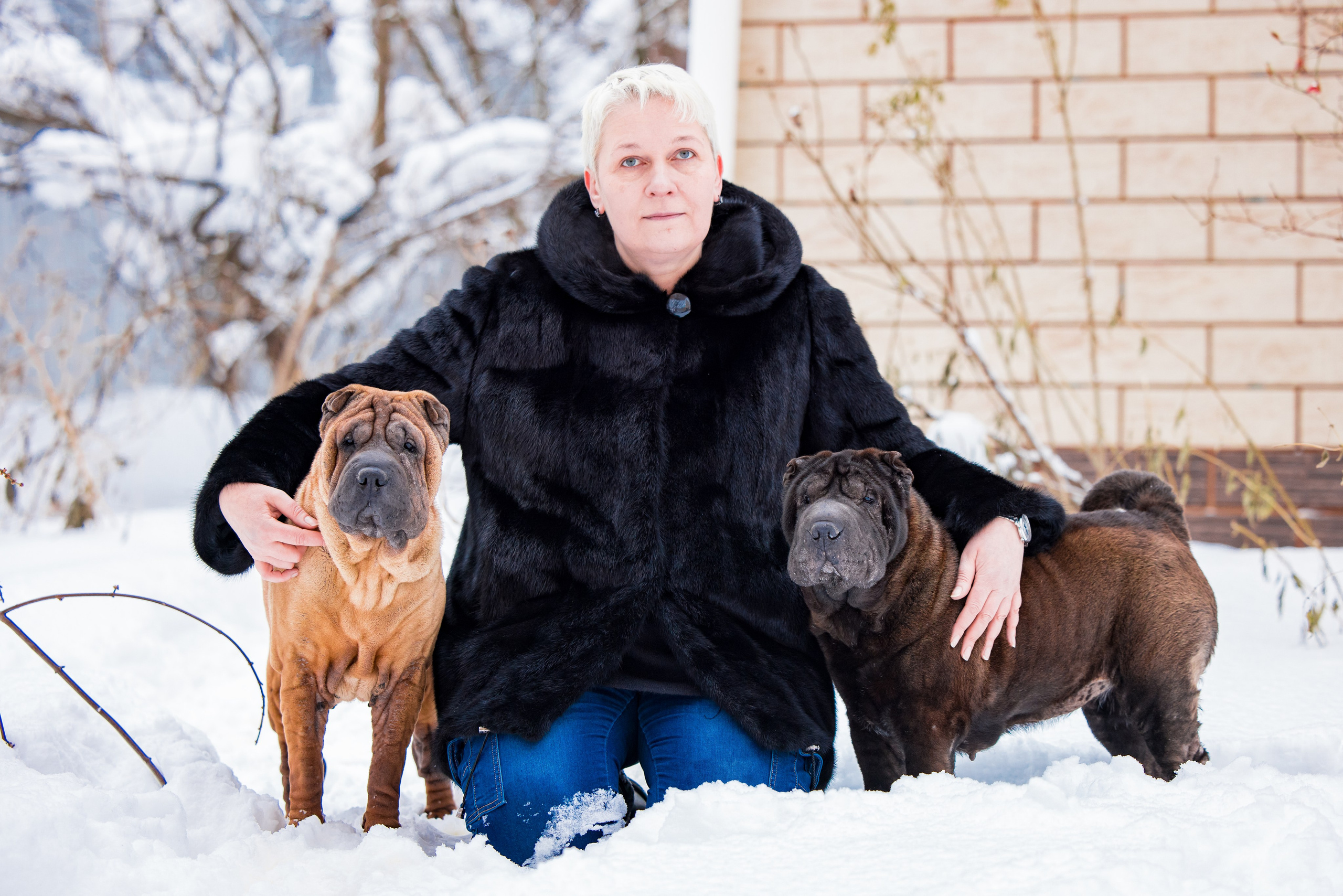 В гостях у шарпеев 16.01.2024. Фотограф-анималист Юлия Германика