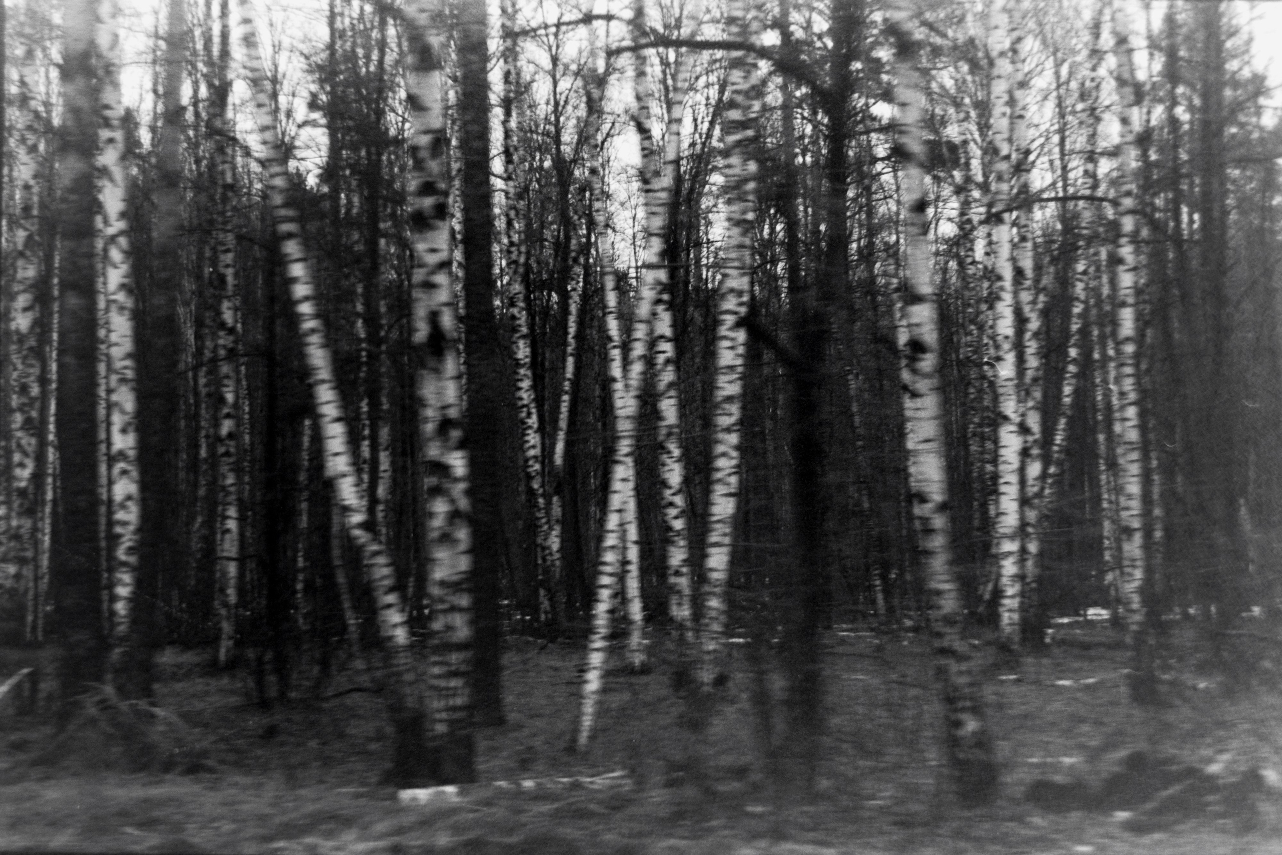 Пленочная история. Дмитрий Пропадалин, Нейрофотография